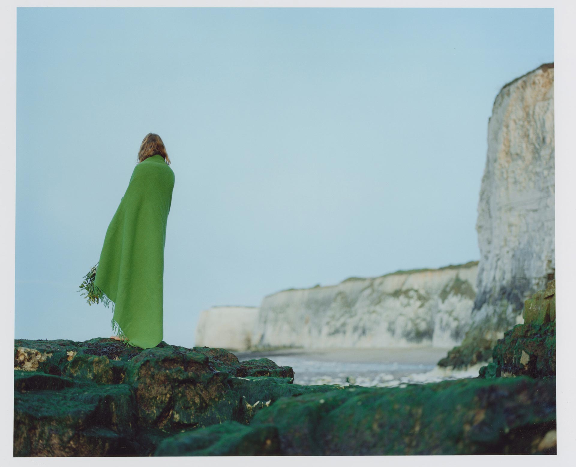 Arket A Subtle Shade of Green January, 2022 by  Drew Wheeler