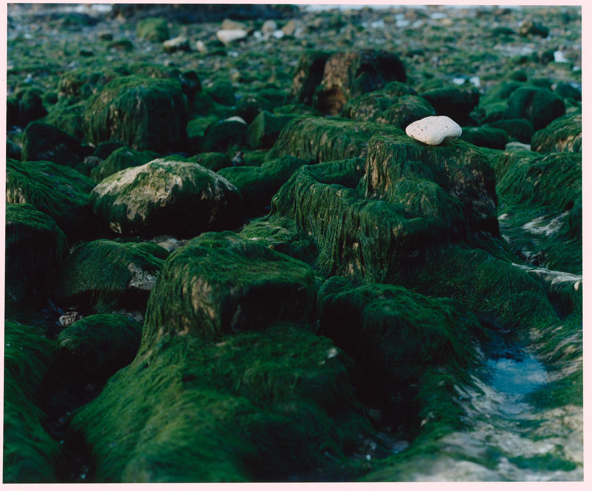 Arket A Subtle Shade of Green January, 2022 by  Drew Wheeler