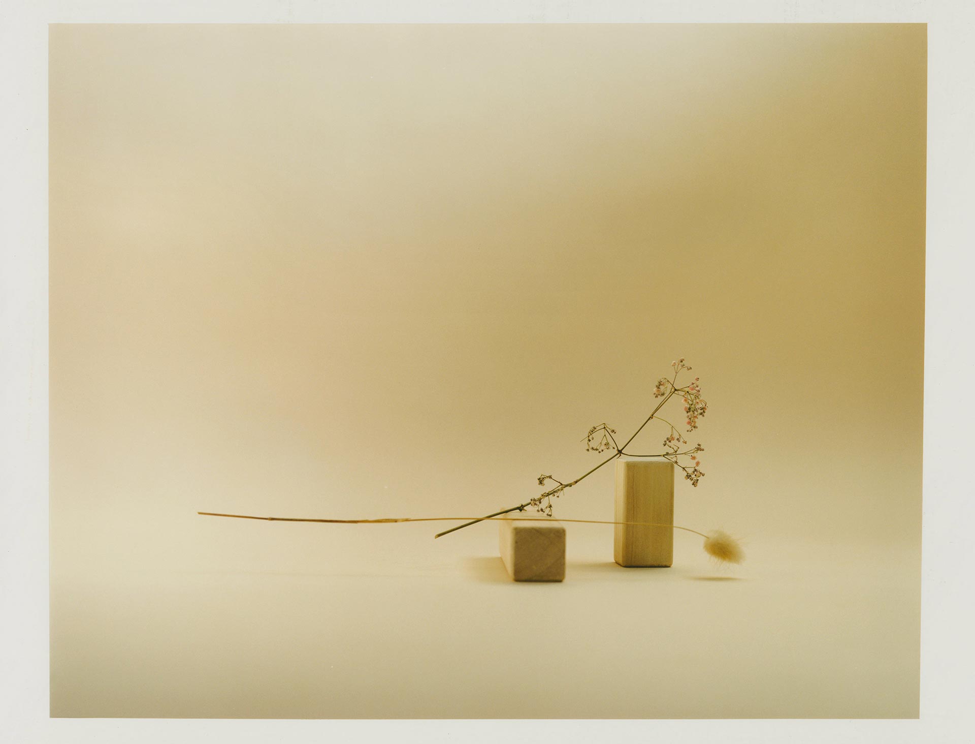 Personal Work Still Life - House July, 2021 by  Drew Wheeler