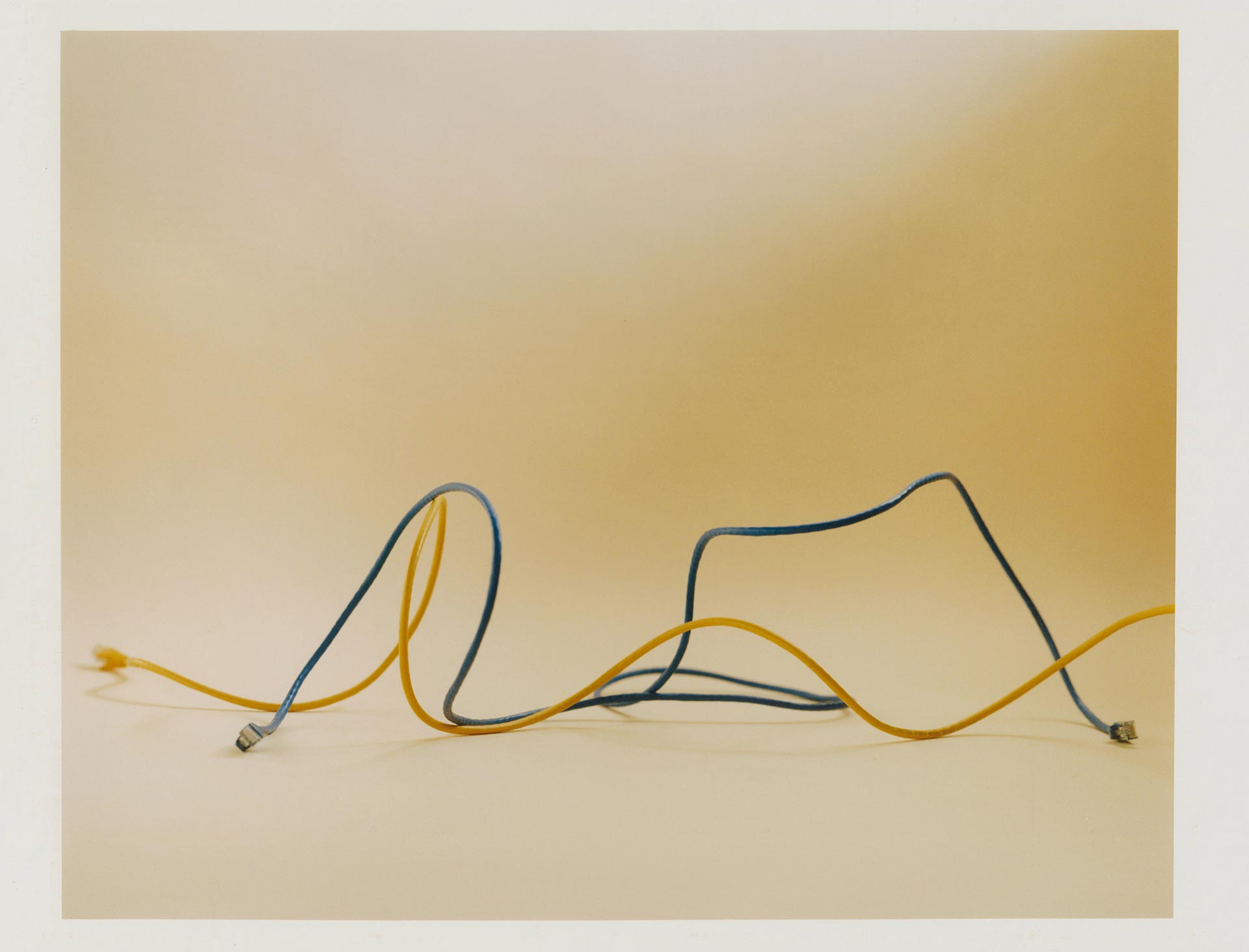 Personal Work Still Life - House July, 2021 by  Drew Wheeler