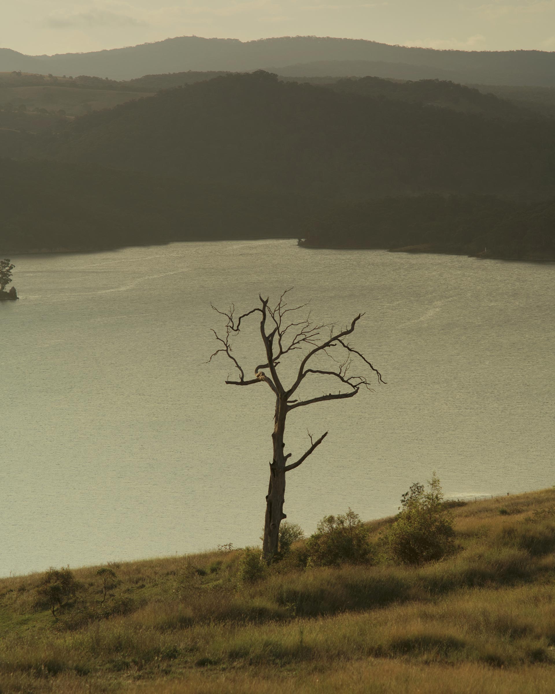 Desire Homme Volume 13 March, 2022 by  Drew Wheeler