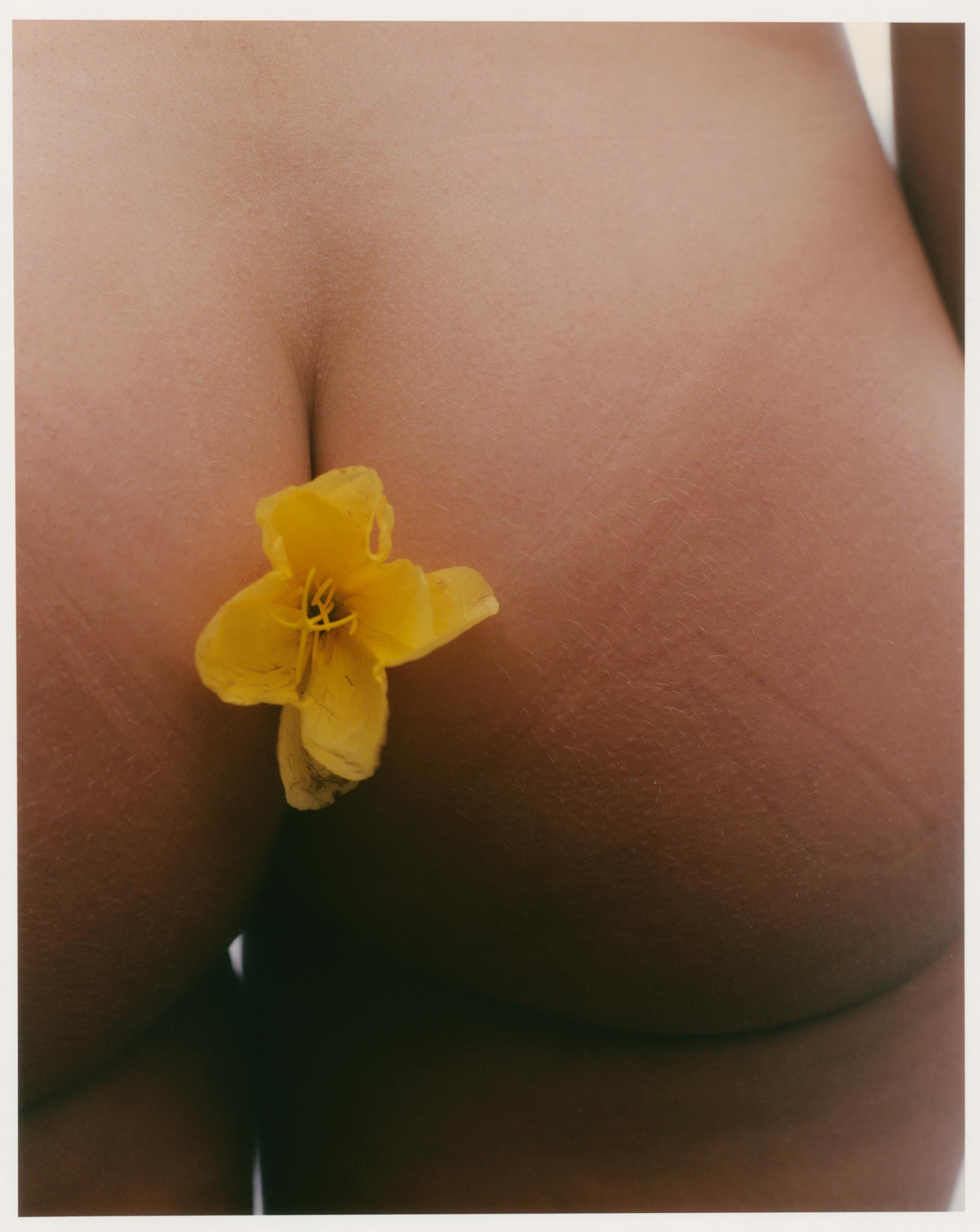 Order Magazine Linnea September, 2022 by  Drew Wheeler