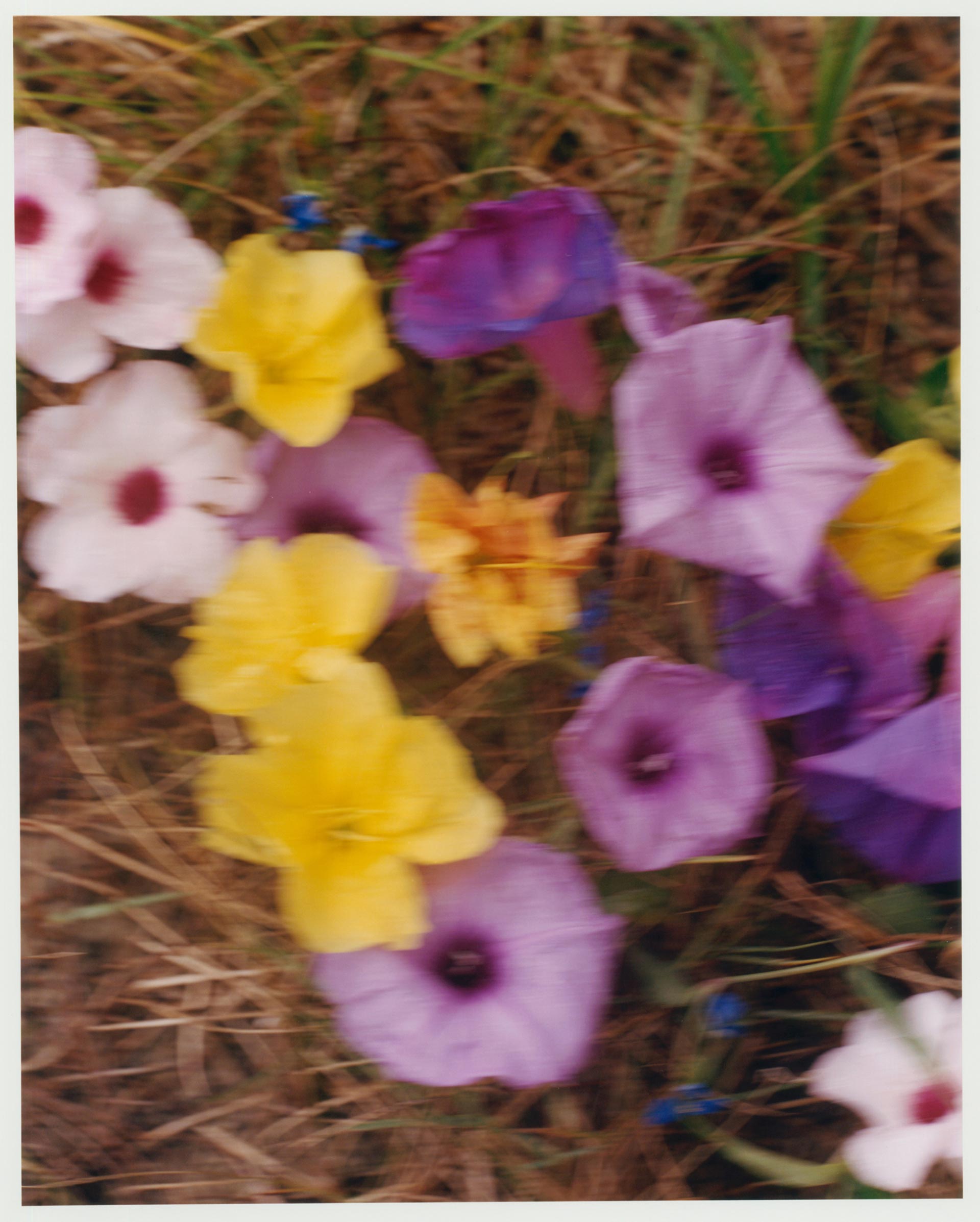 Order Magazine Linnea September, 2022 by  Drew Wheeler