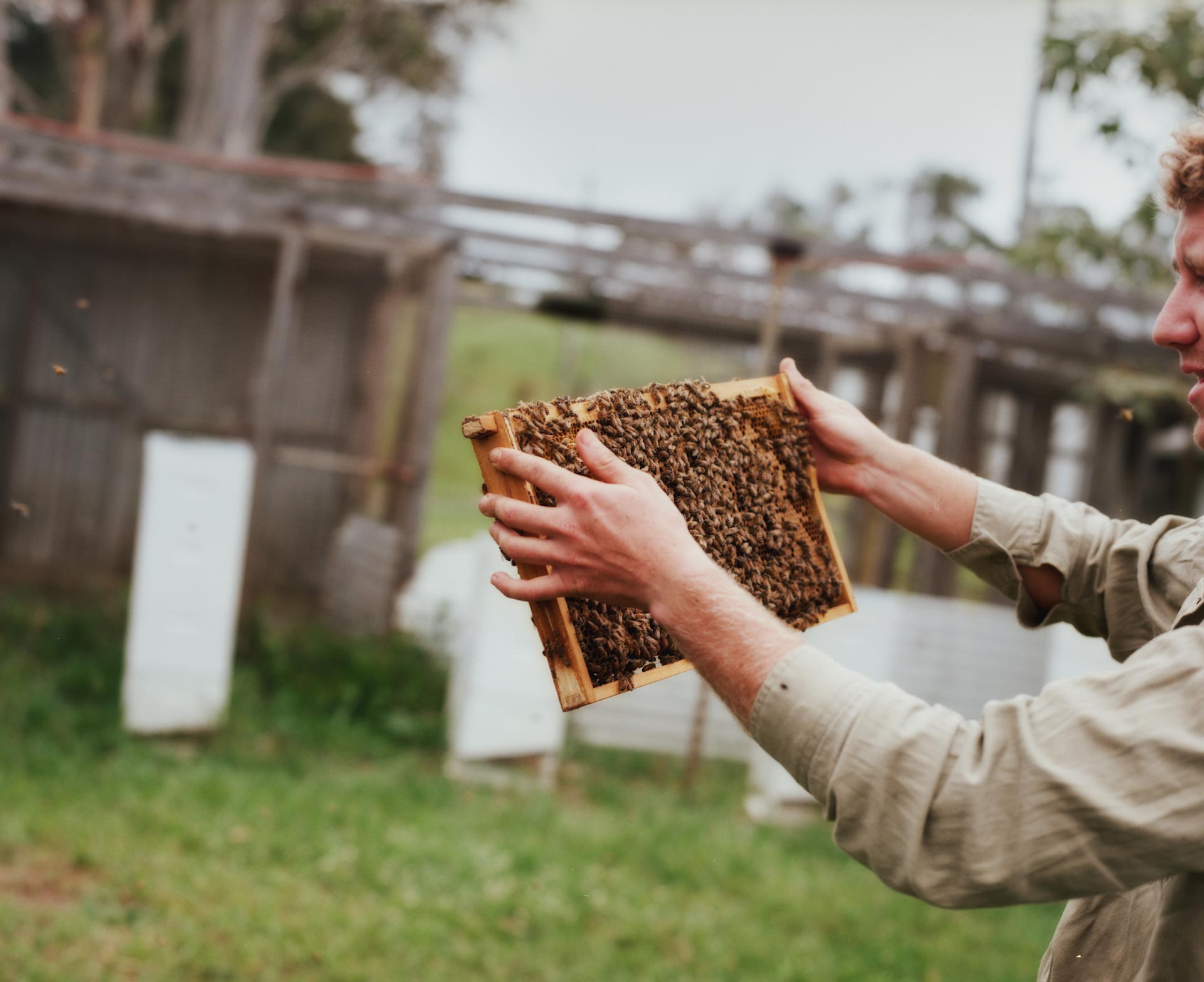 Flore Directory The Bee Keeper August, 2020 by  Drew Wheeler