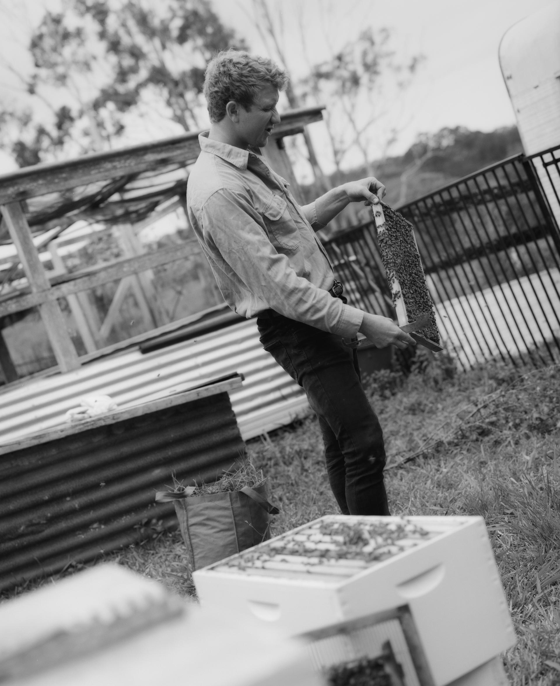 Flore Directory The Bee Keeper August, 2020 by  Drew Wheeler