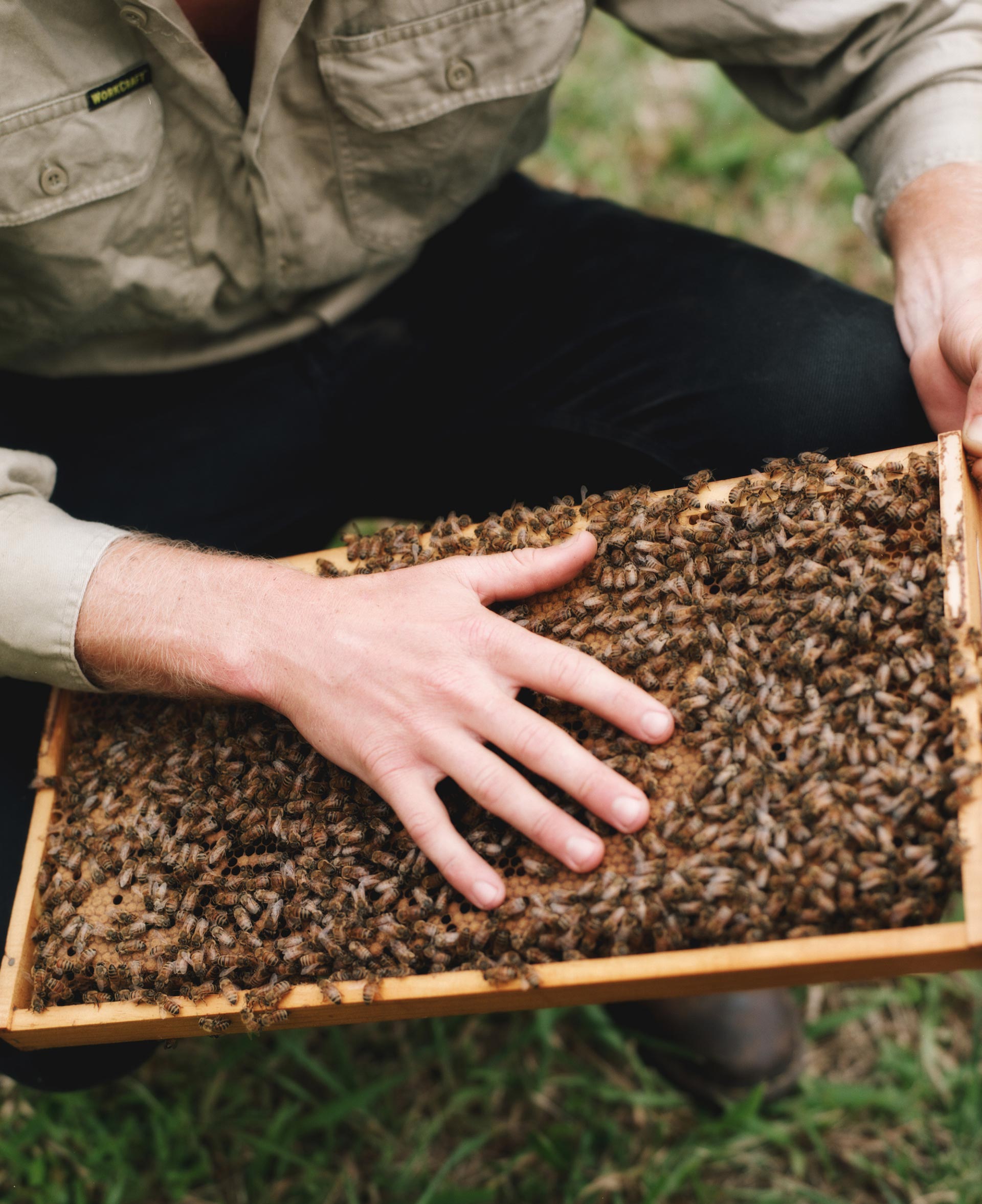 Flore Directory The Bee Keeper August, 2020 by  Drew Wheeler