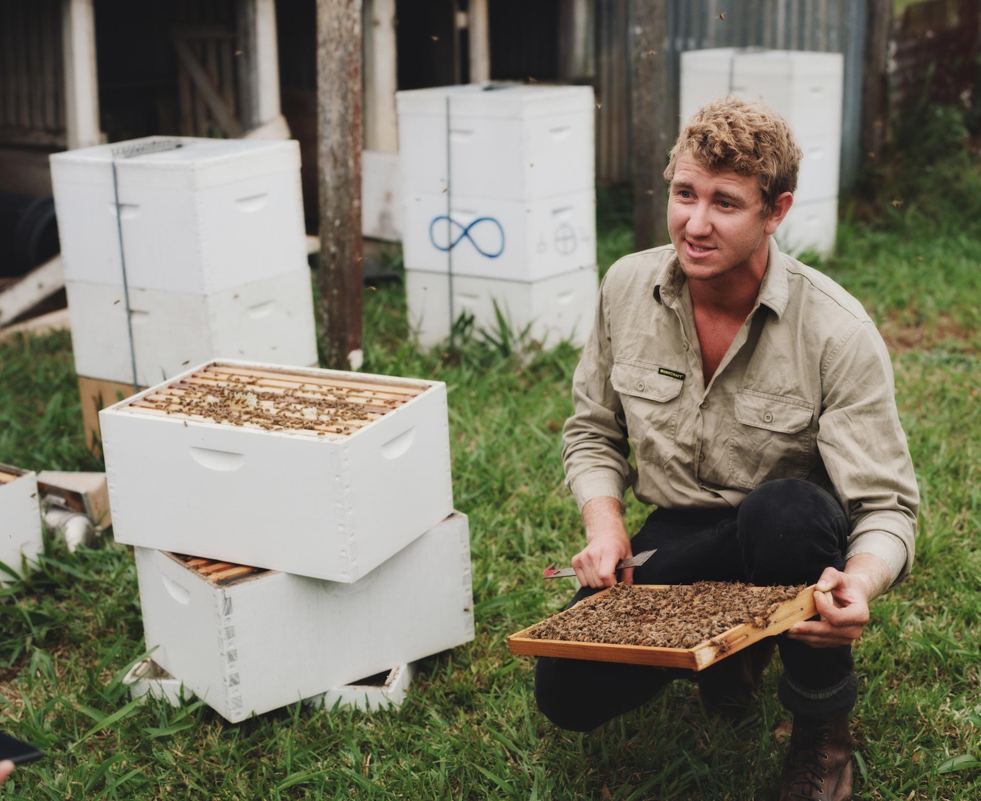 Flore Directory The Bee Keeper August, 2020 by  Drew Wheeler