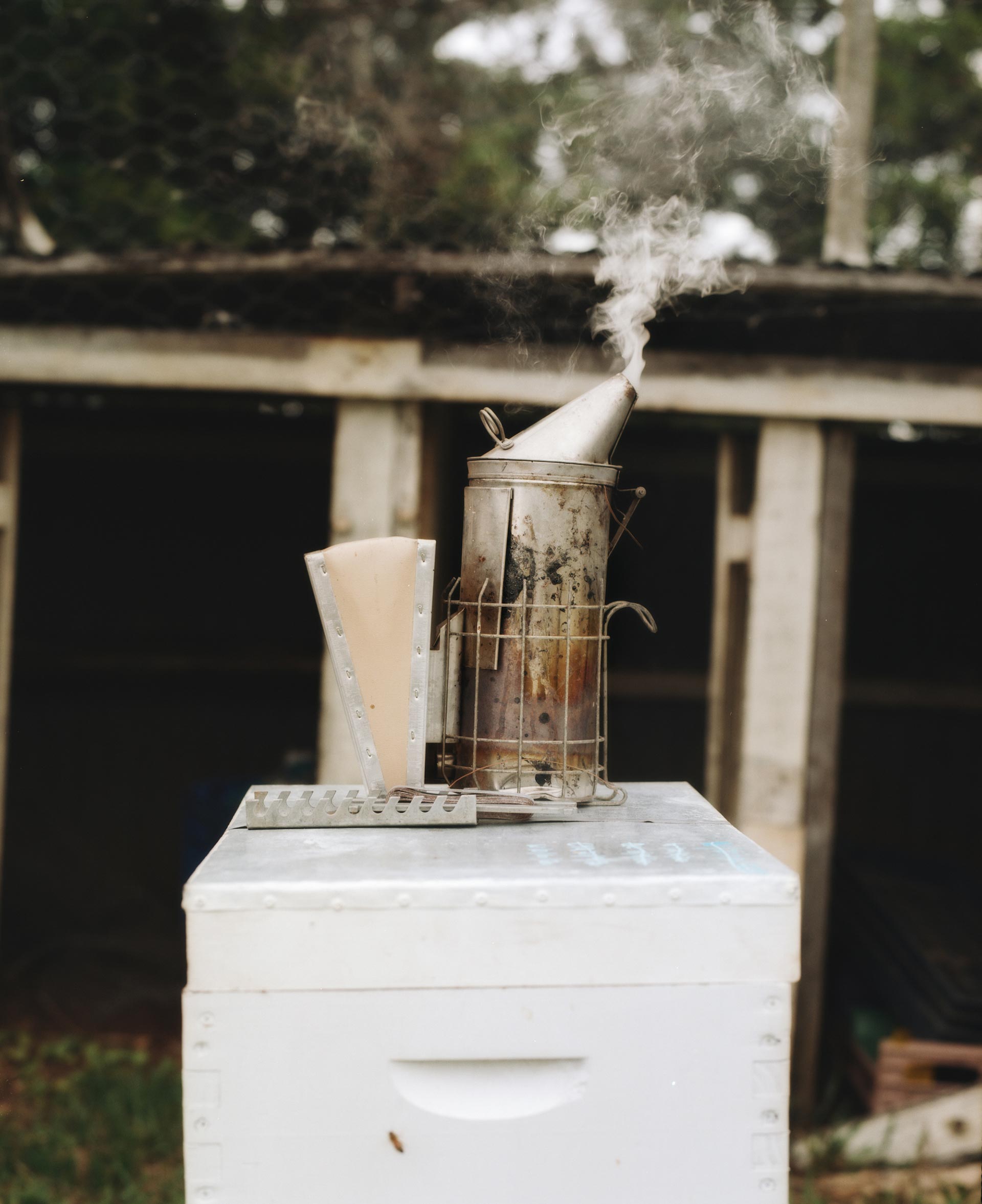 Flore Directory The Bee Keeper August, 2020 by  Drew Wheeler