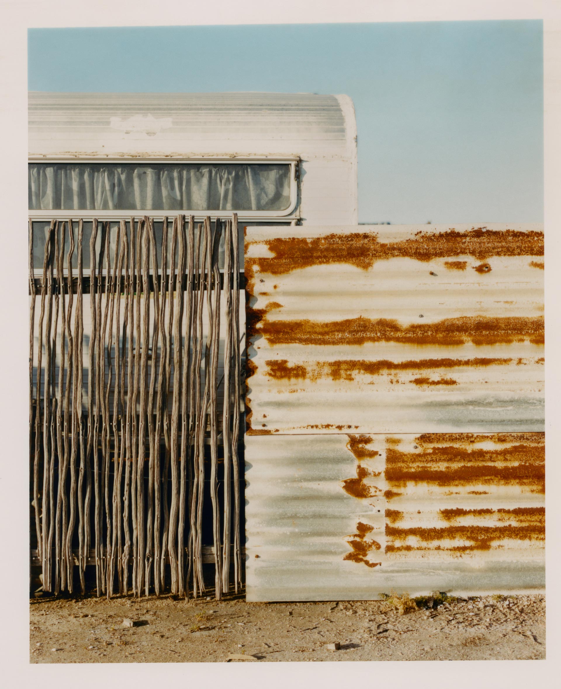 Doingbird Lost Avalon April 2021 by  Drew Wheeler