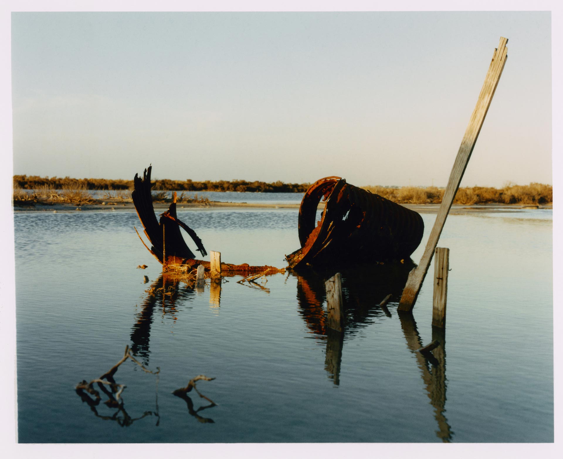 Doingbird Lost Avalon April 2021 by  Drew Wheeler