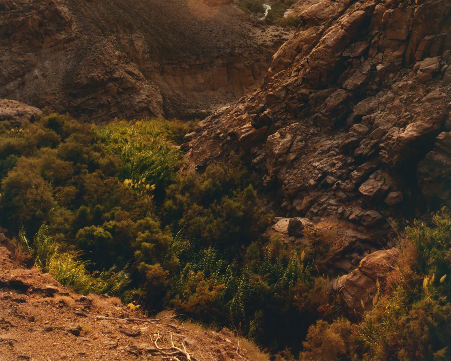 Personal work Jordan December, 2021 by  Drew Wheeler