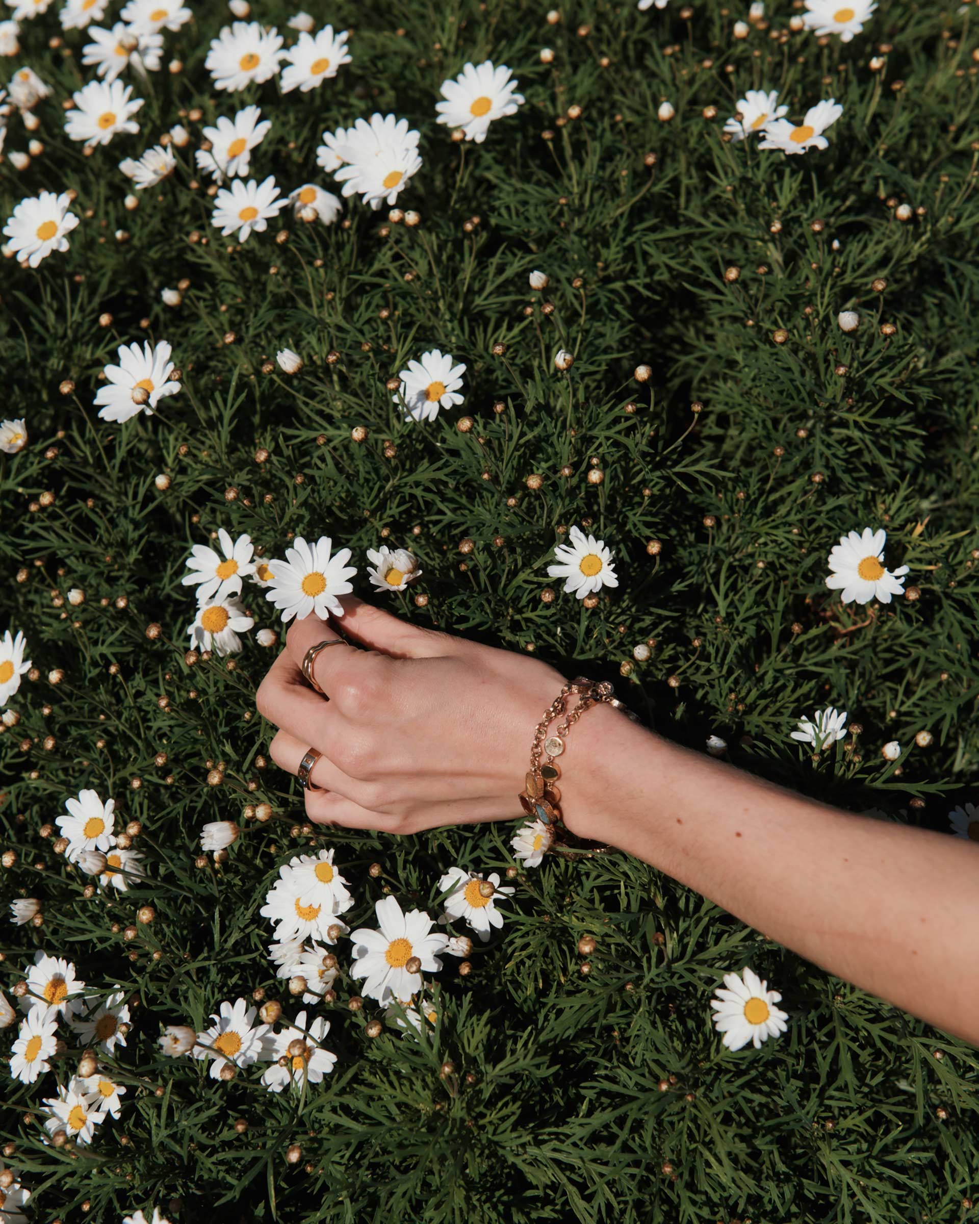 Lucy Folk Towelling July, 2023 by  Drew Wheeler