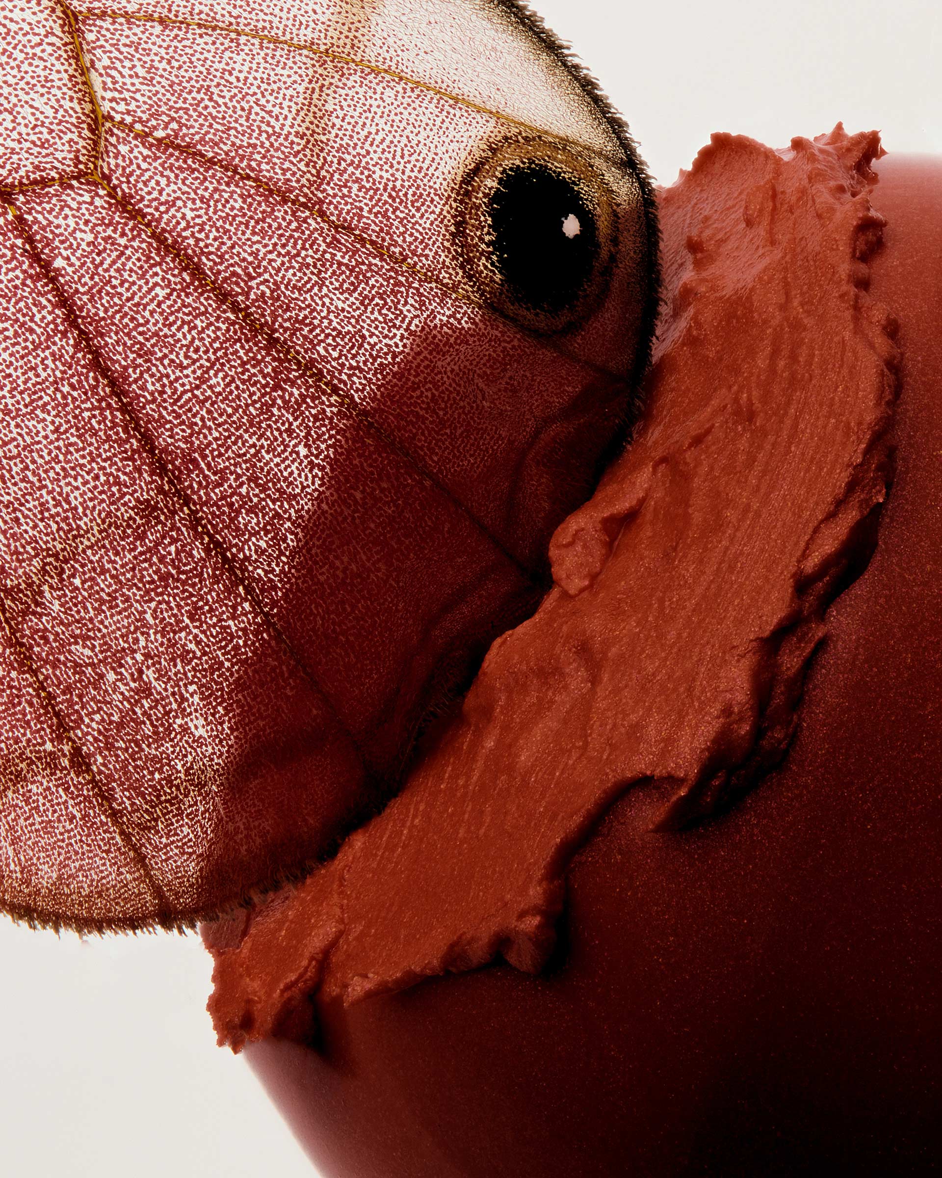 Same Same Beauty Bug November, 2023 by  Natalie Turnbull