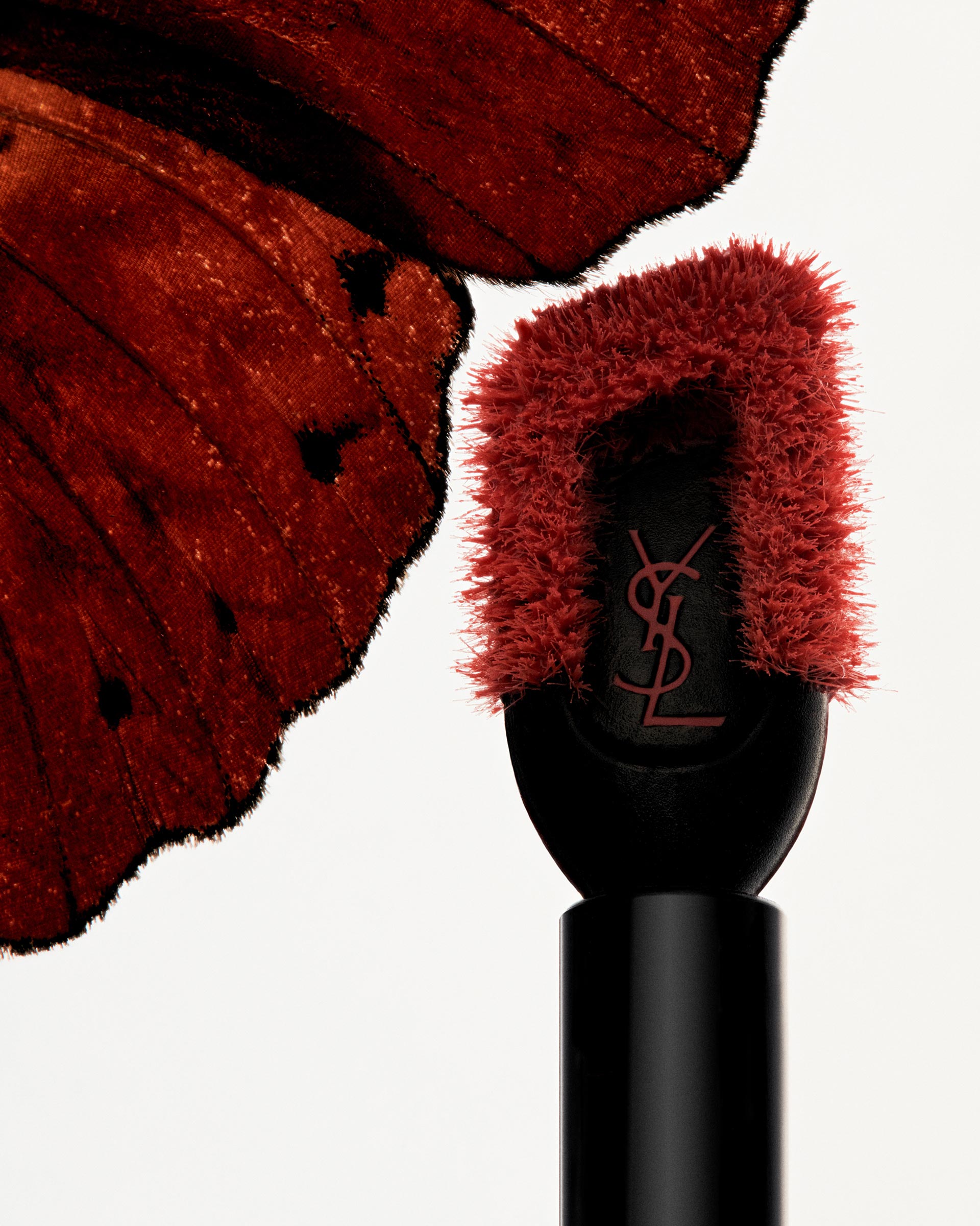 Same Same Beauty Bug November, 2023 by  Natalie Turnbull