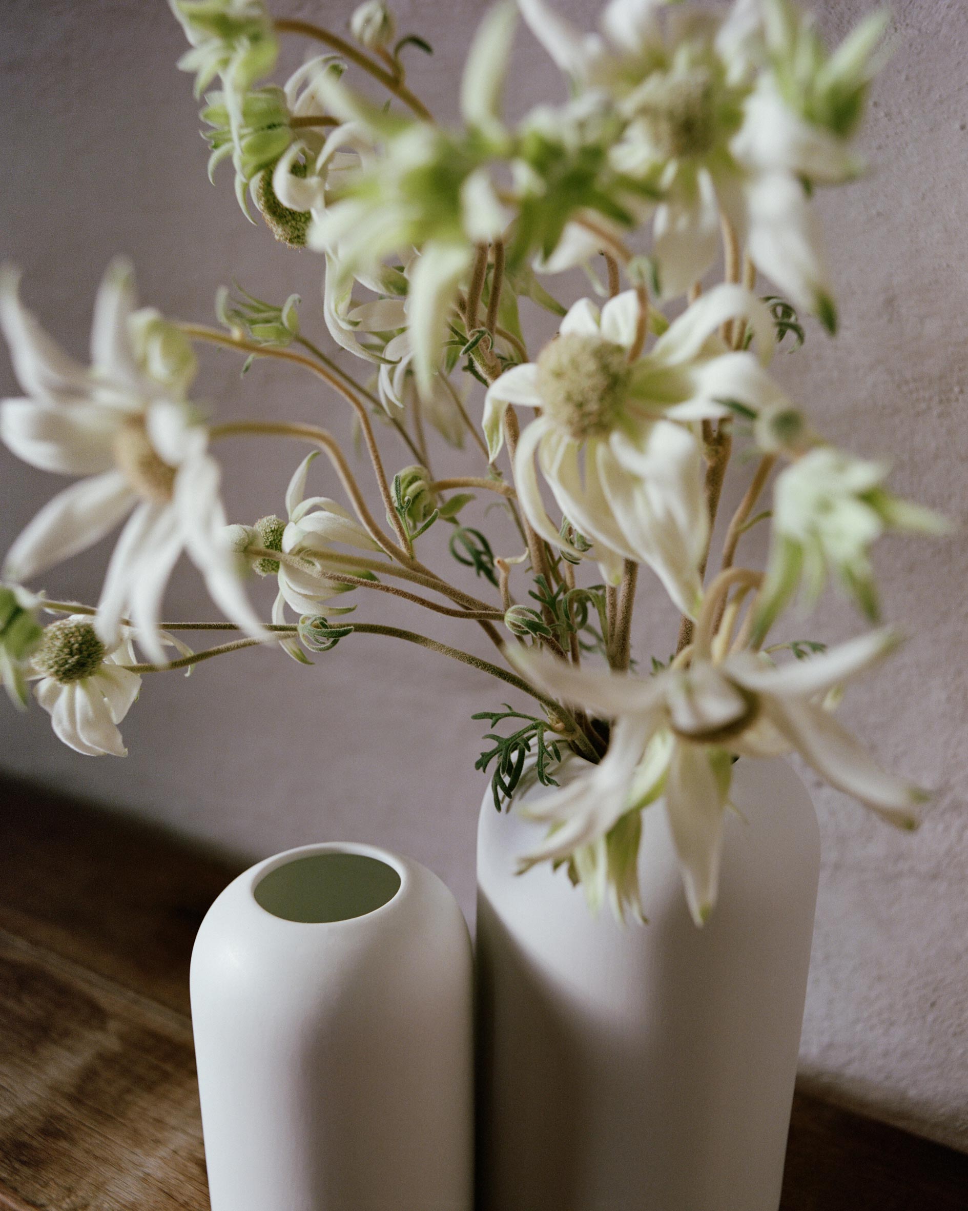 Country Road Home October, 2023 by  Drew Wheeler