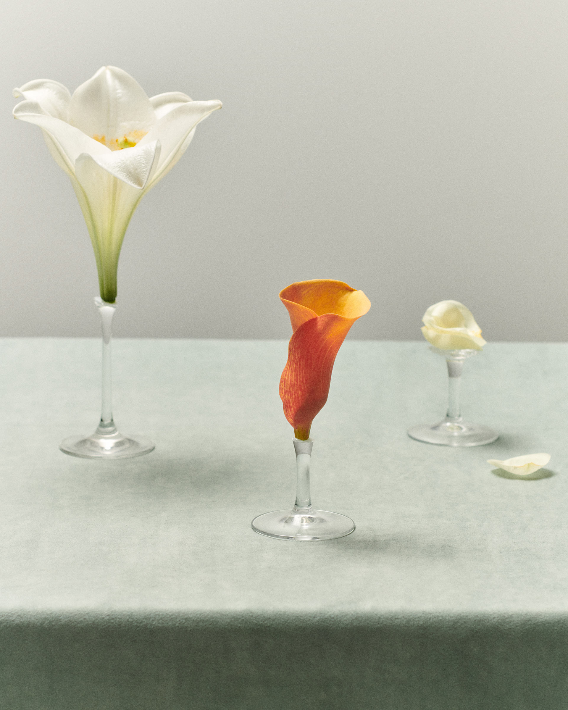 VNTNR Hero Content February, 2024 by  Natalie Turnbull Victoria Zschommler