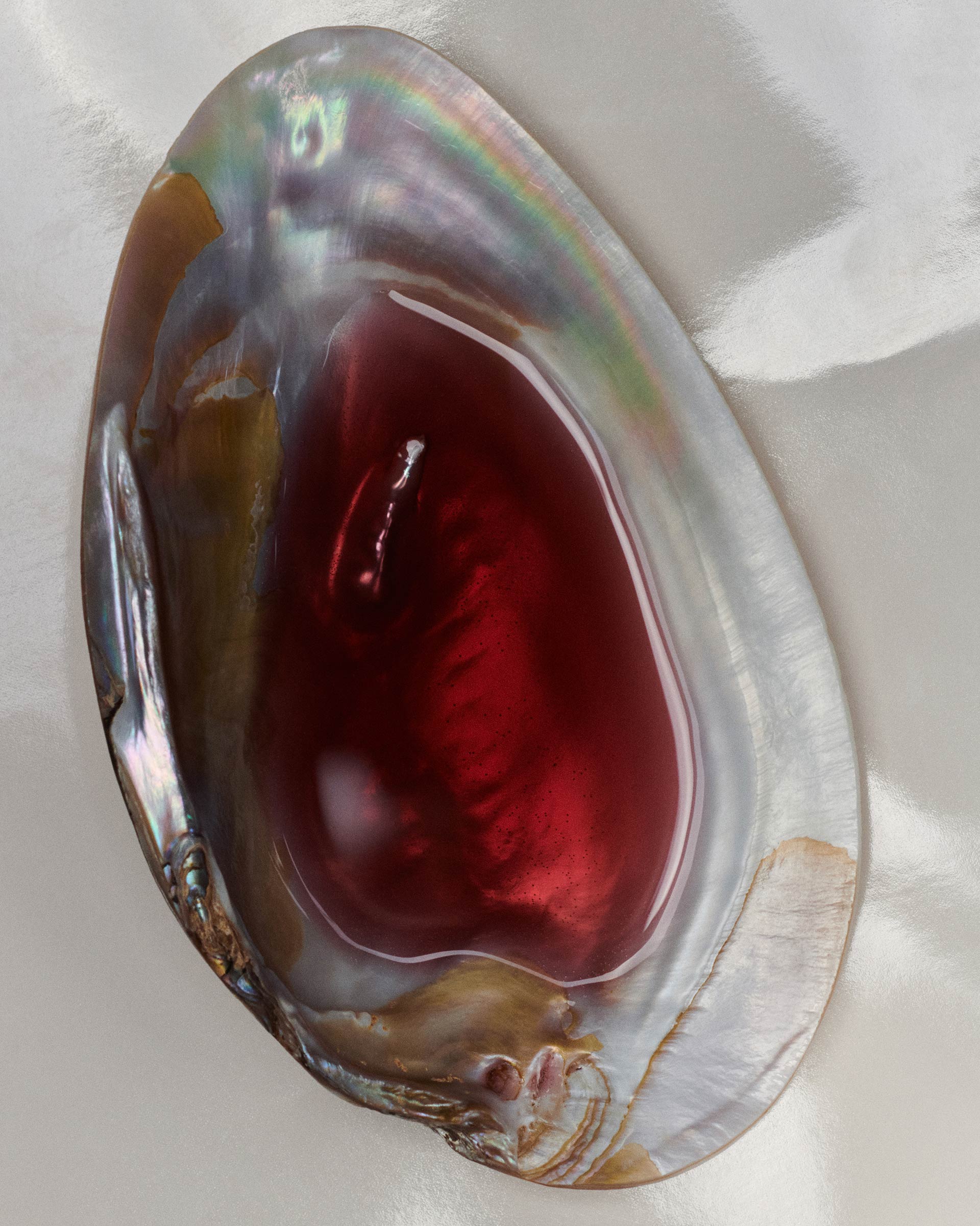 VNTNR Hero Content February, 2024 by  Natalie Turnbull Victoria Zschommler