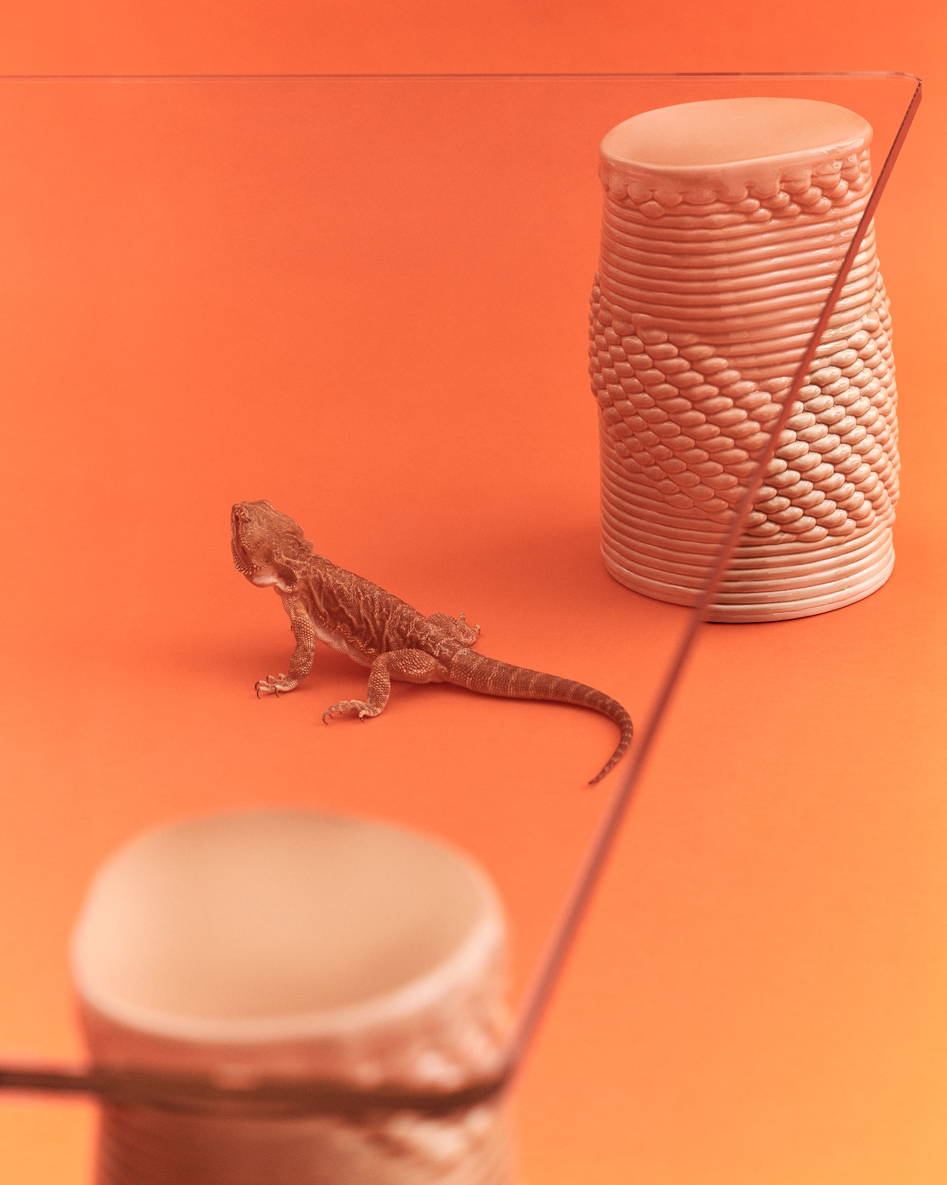 Vogue Living Where The Wild Things Are March, 2024 by  Victoria Zschommler