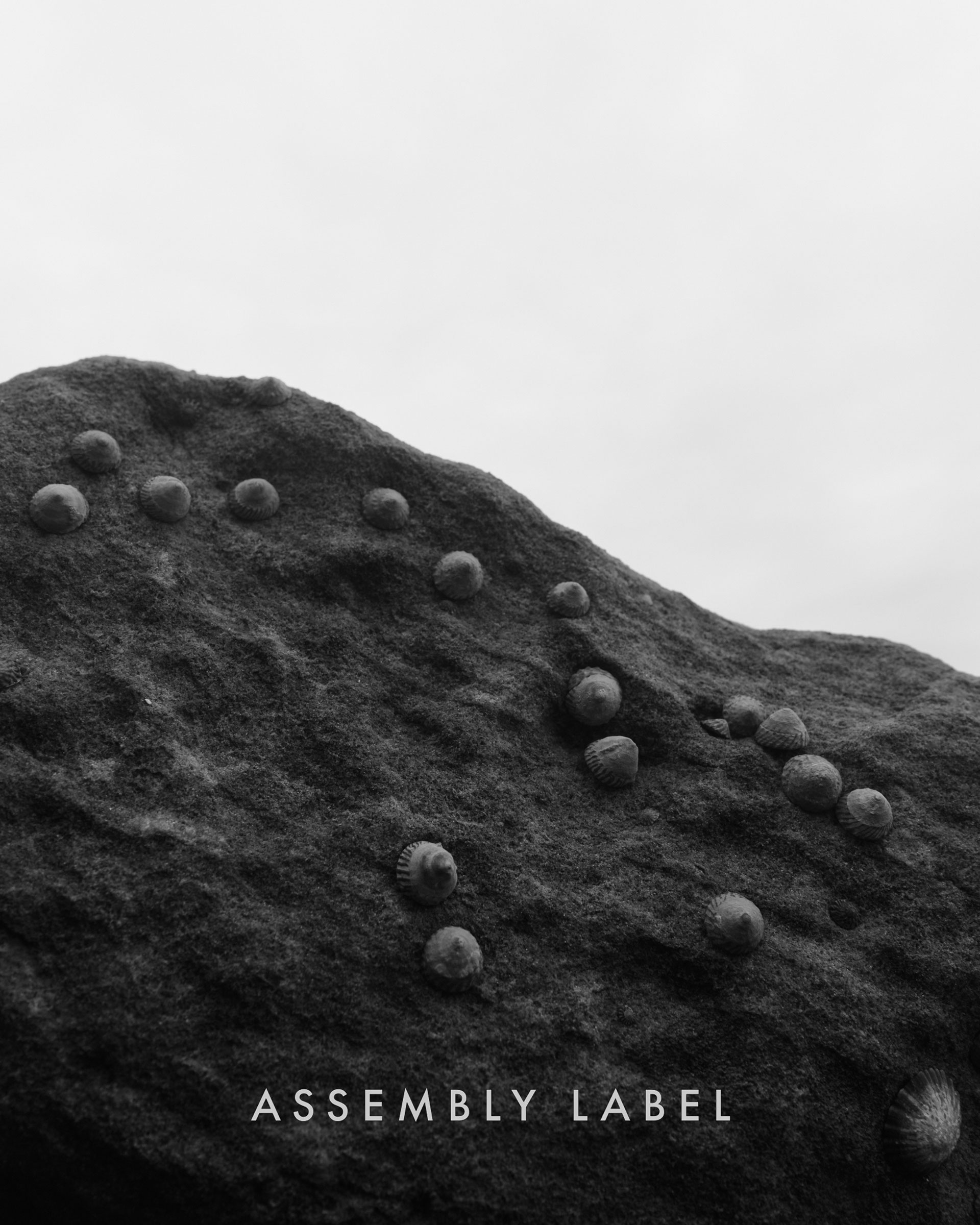 Assembly Label AW24 March, 2024 by  Drew Wheeler