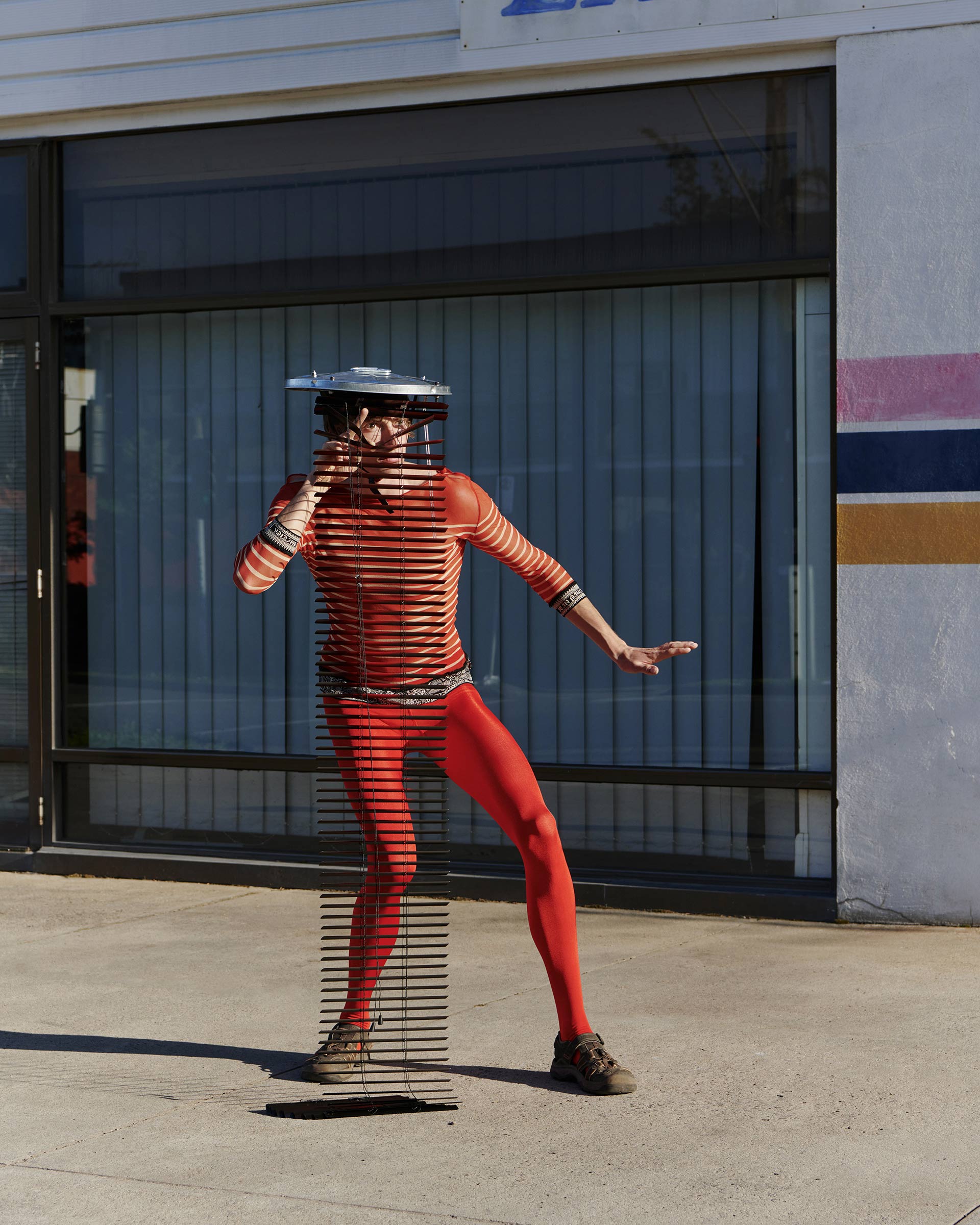 Photo 2024 Razzle Dazzle February, 2024 by  Jo Duck