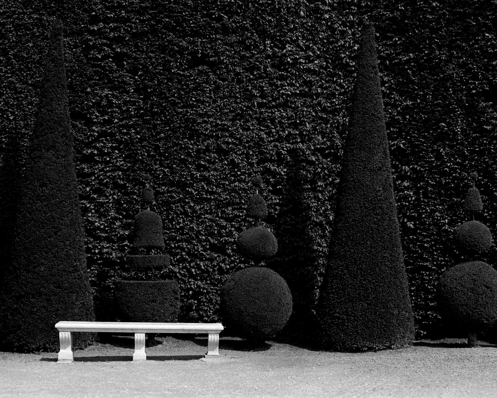 France On Film Personal Work May, 2024 by  Lilli Waters