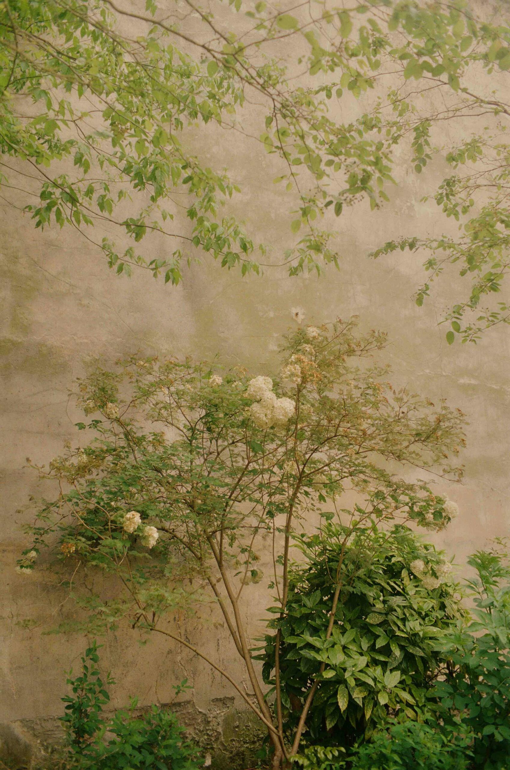 France On Film Personal Work May, 2024 by  Lilli Waters