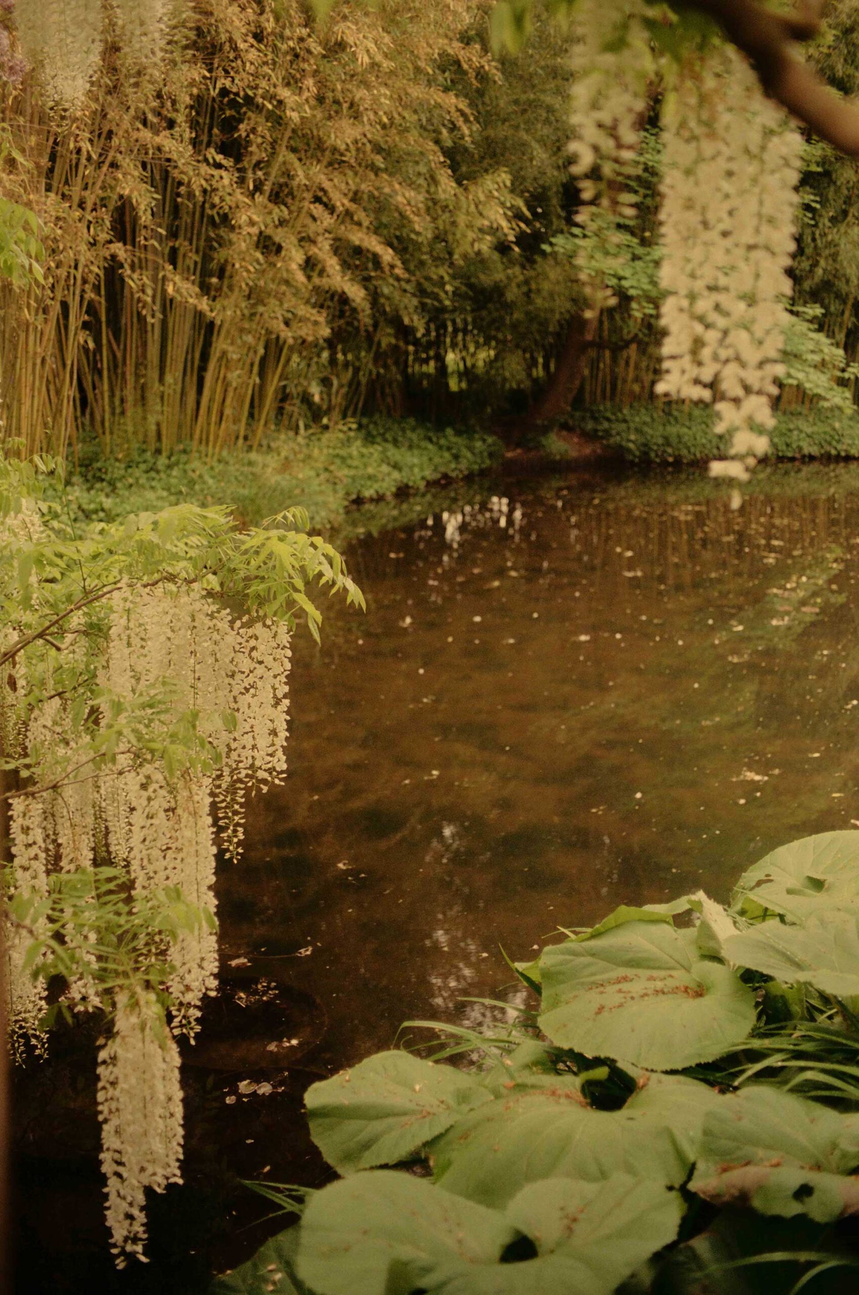 France On Film Personal Work May, 2024 by  Lilli Waters