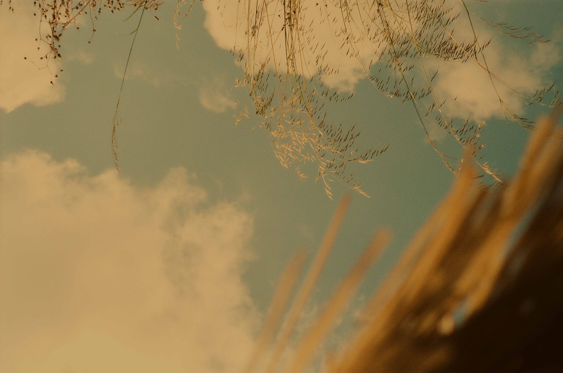 France On Film Personal Work May, 2024 by  Lilli Waters