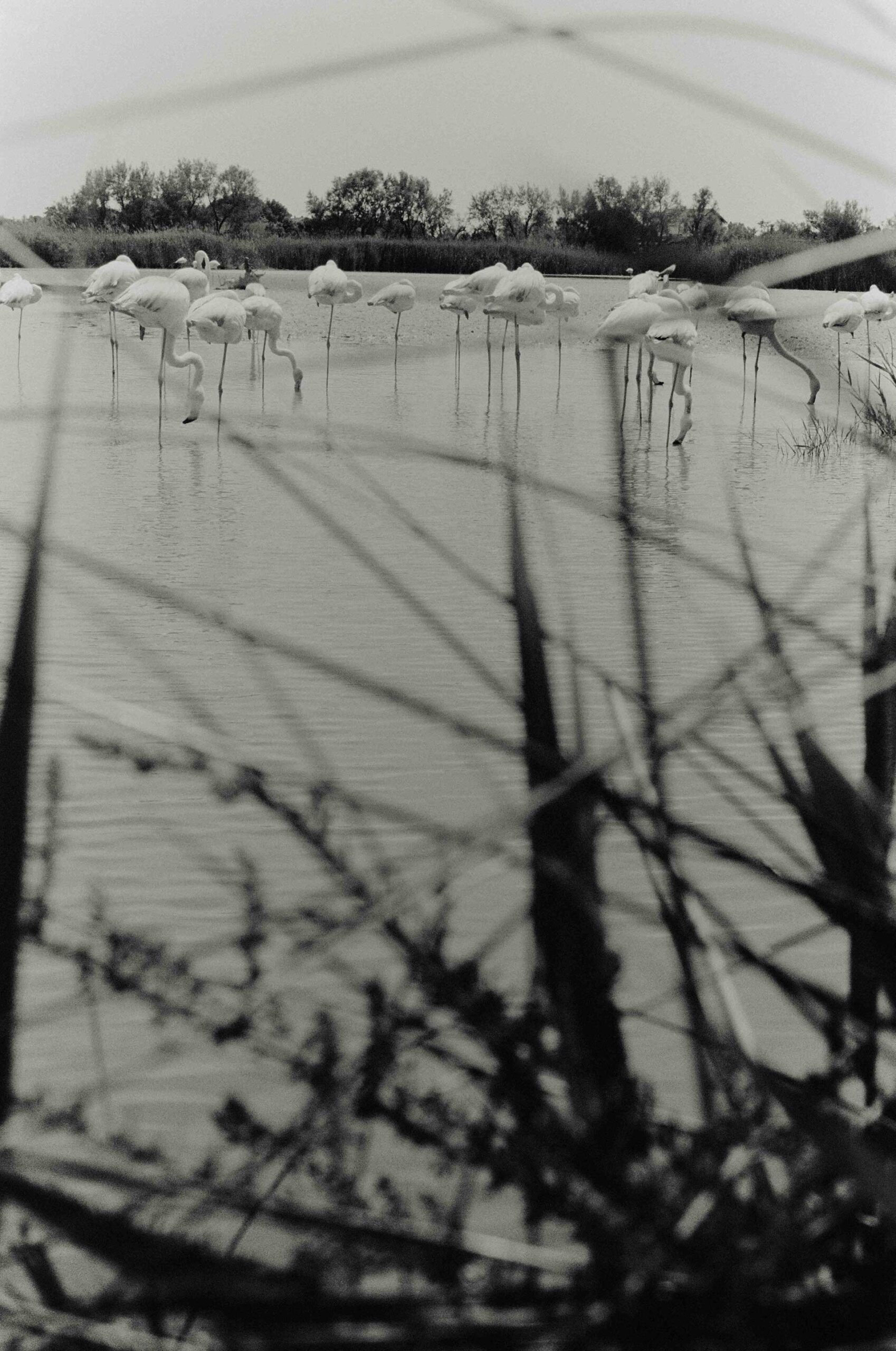 France On Film Personal Work May, 2024 by  Lilli Waters