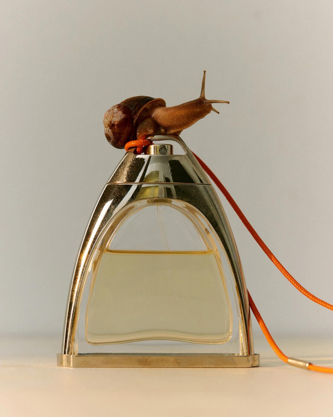 Elbazin Magazine Issue 24 August, 2023 by Lilli Waters 