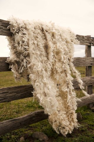 Helen Kaminski AW 22 October, 2022 by Lilli Waters 