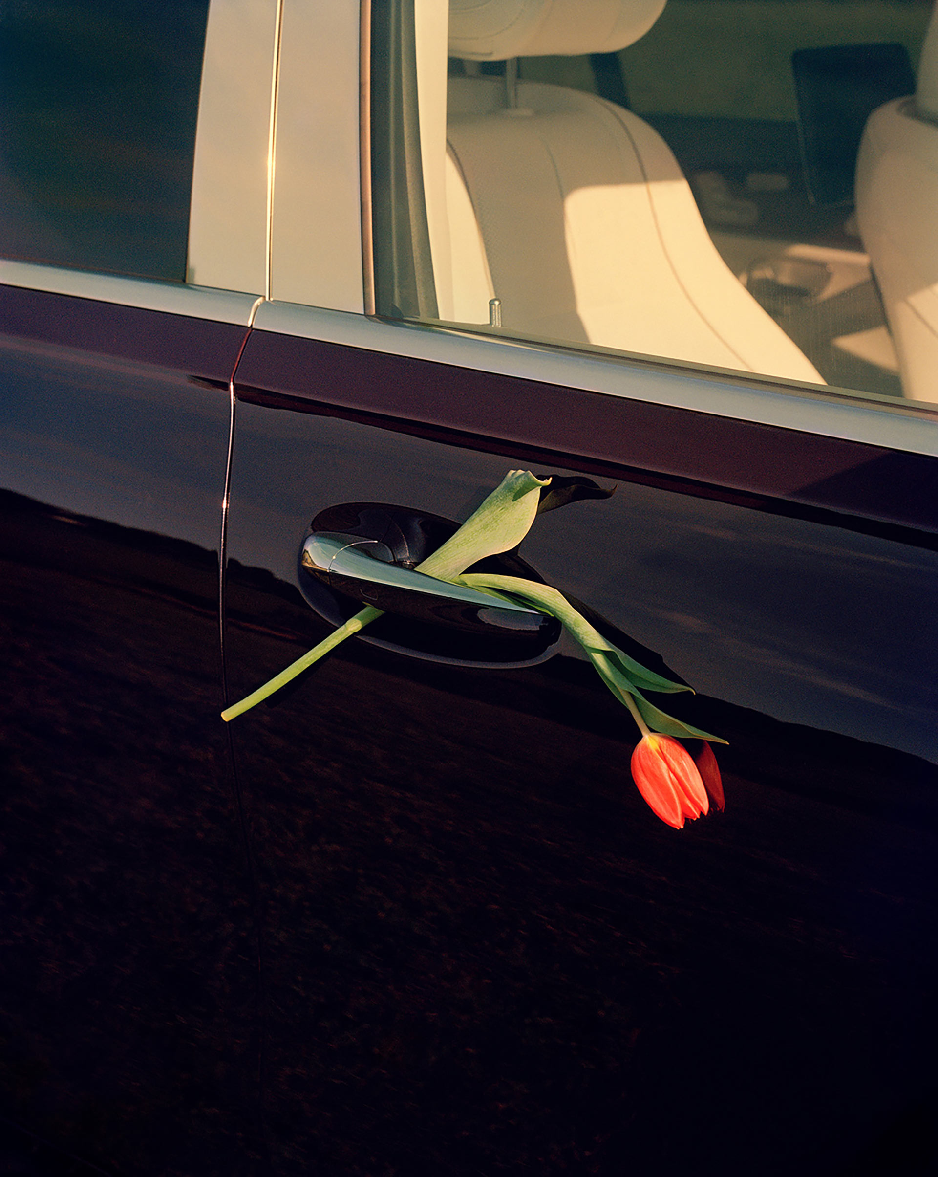 Mercedes Benz Collab project October, 2022 by  Lilli Waters