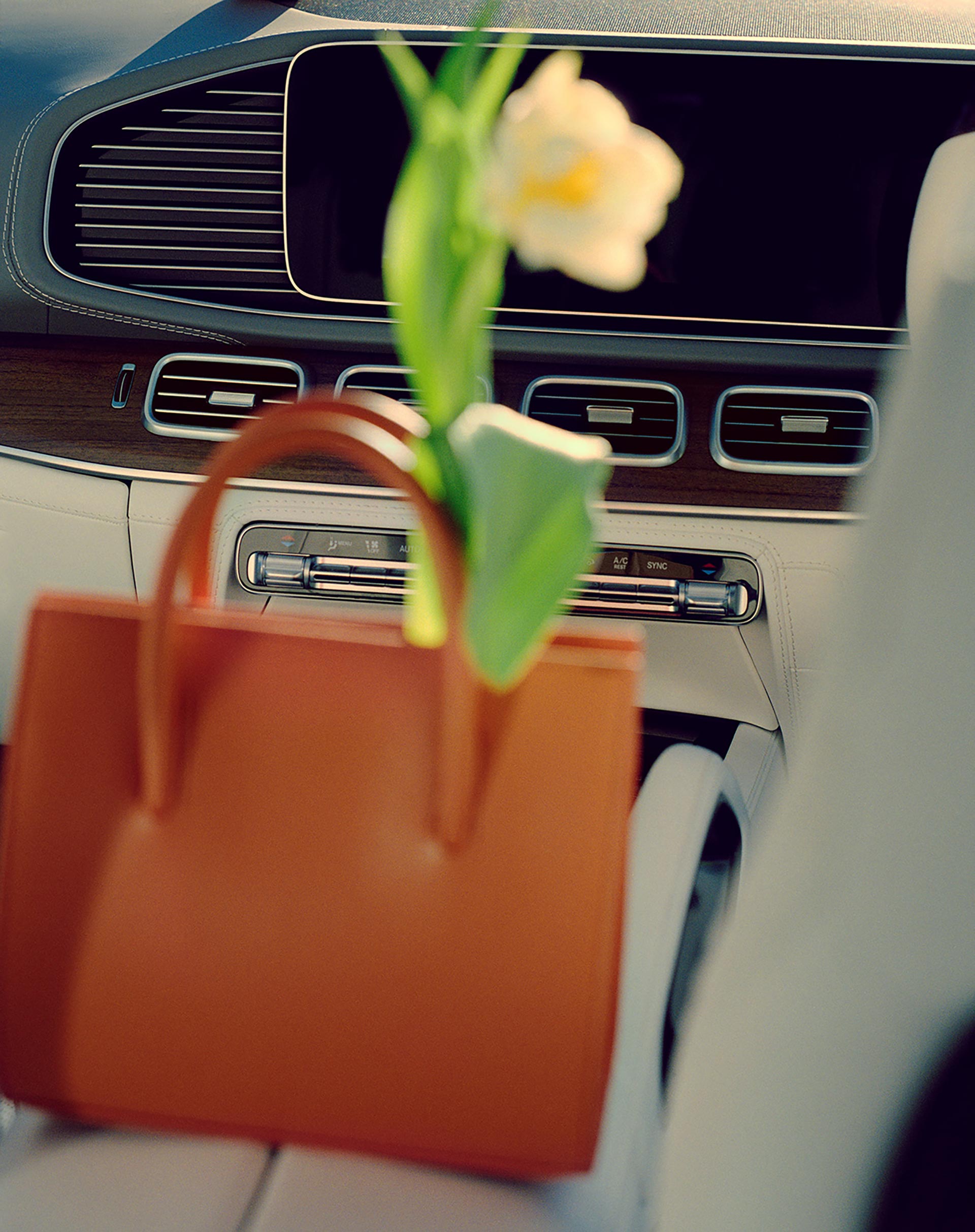 Mercedes Benz Collab project October, 2022 by  Lilli Waters