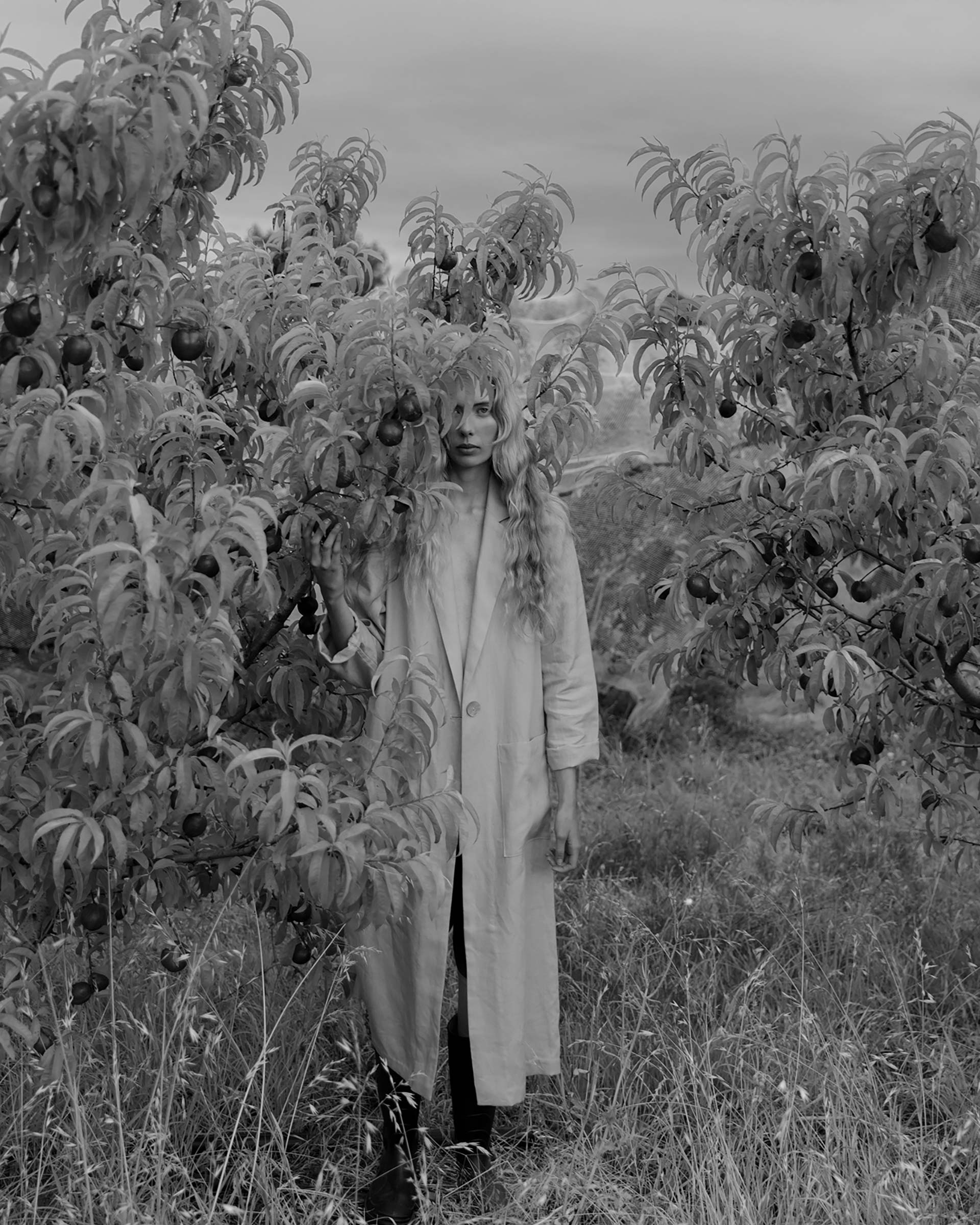 Muse The Label Spring 2020 January, 2020 by  Lilli Waters