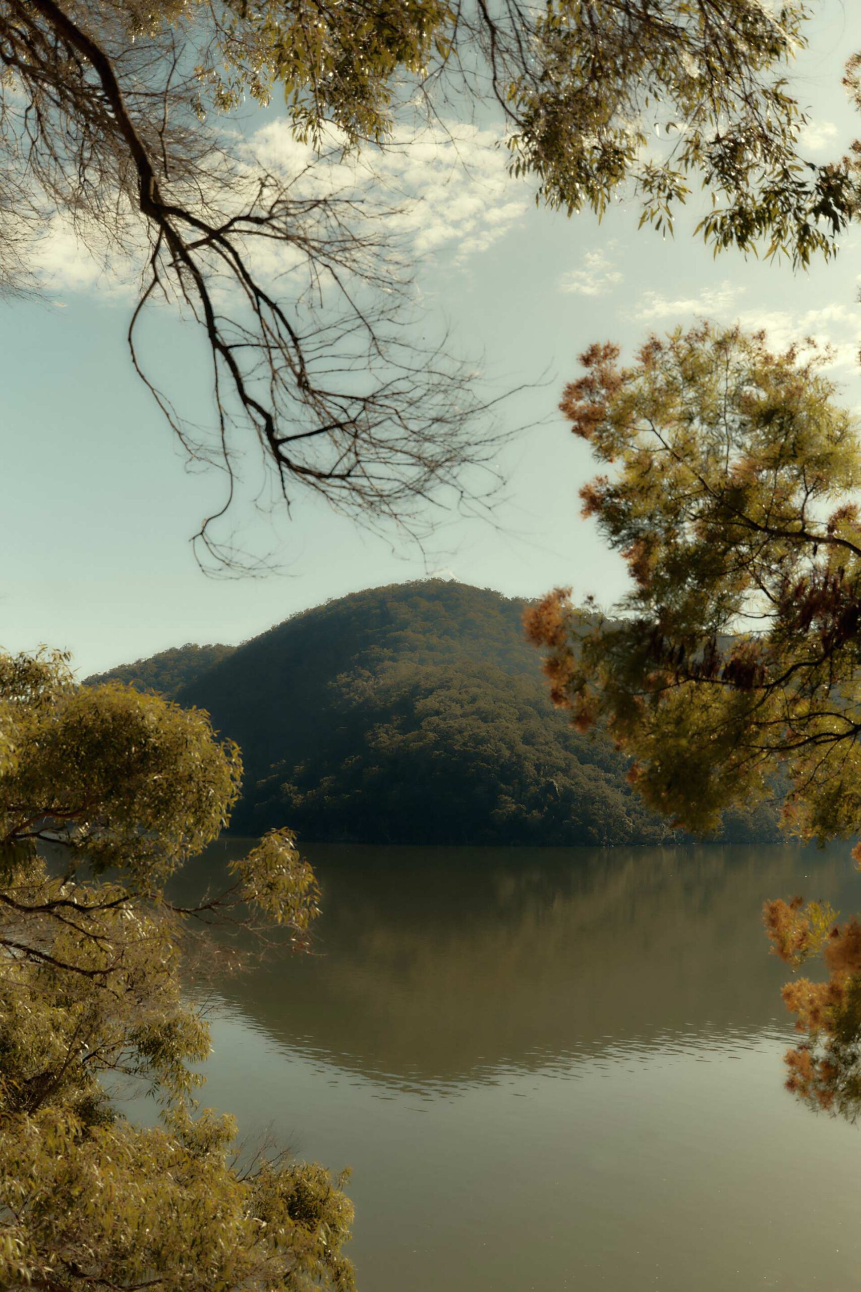 Baina Towels September, 2023 by  Lilli Waters