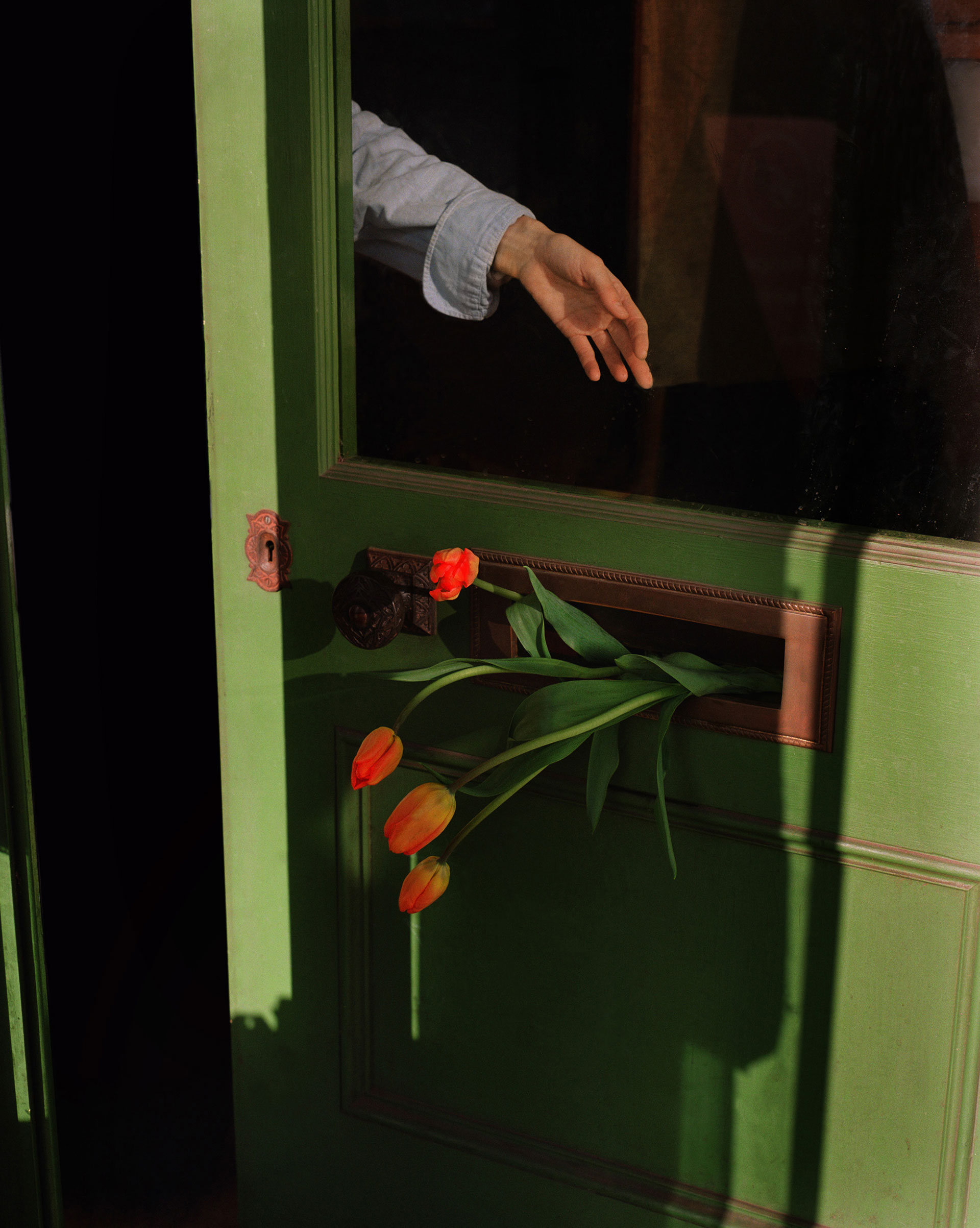 Jane Magazine Issue 14 December, 2023 by  Lilli Waters