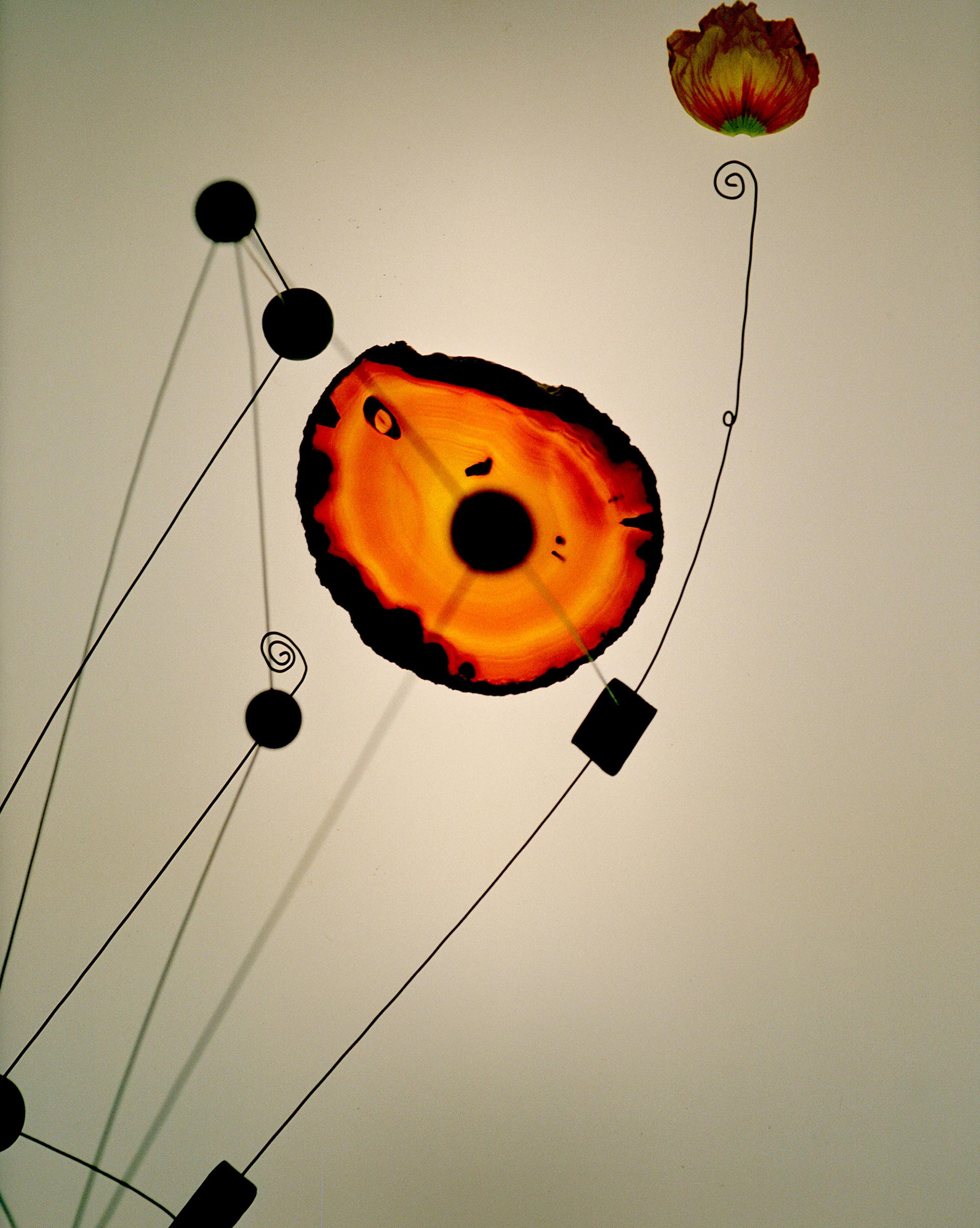 Jane Magazine Issue 14 December, 2023 by  Lilli Waters