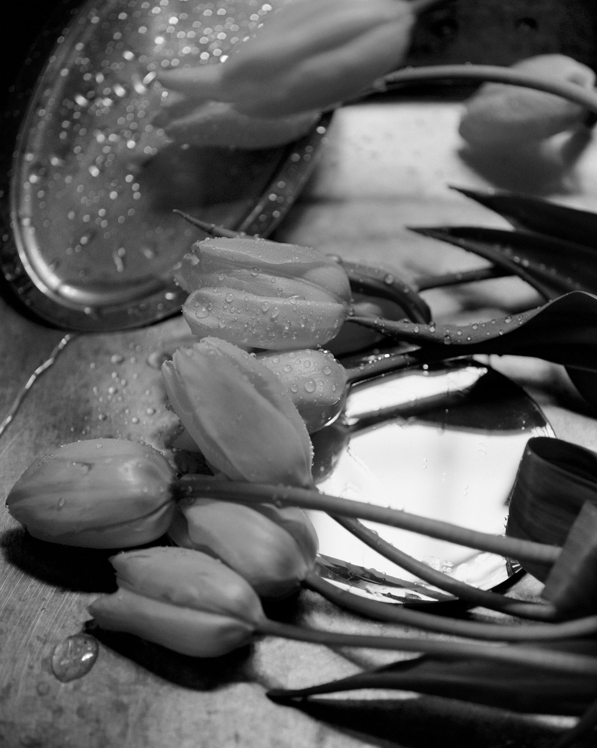 Jane Magazine Issue 14 December, 2023 by  Lilli Waters