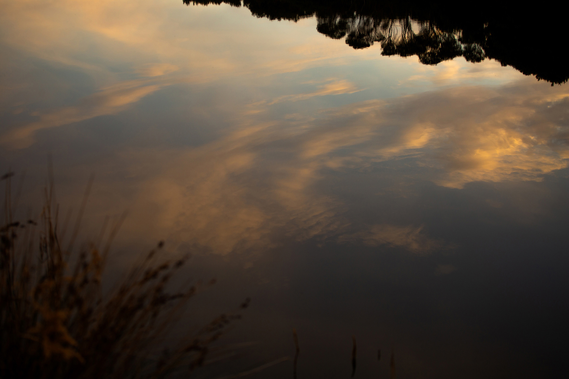 Umenco Golden Hour November, 2023 by  Lilli Waters