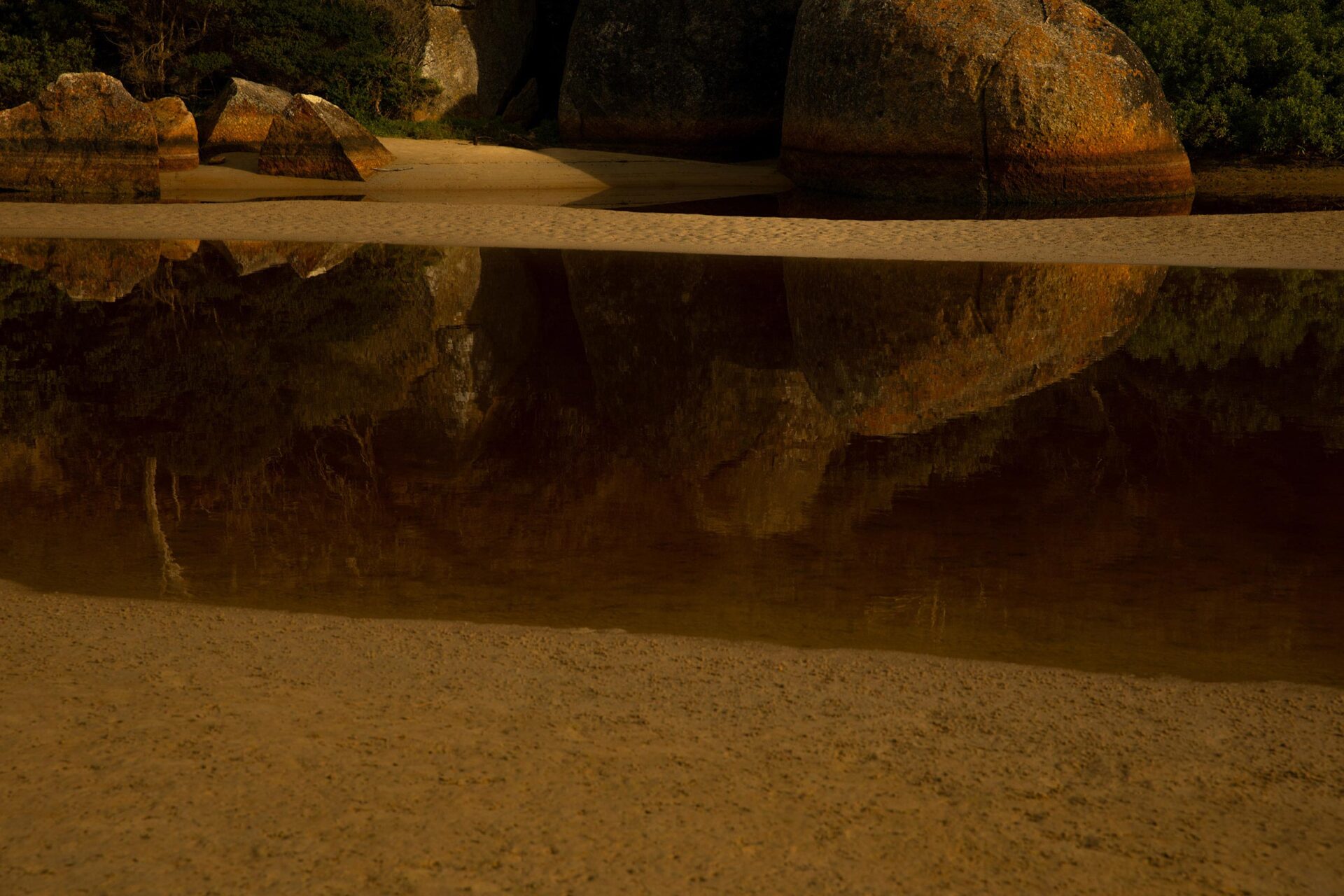 Umenco Golden Hour November, 2023 by  Lilli Waters