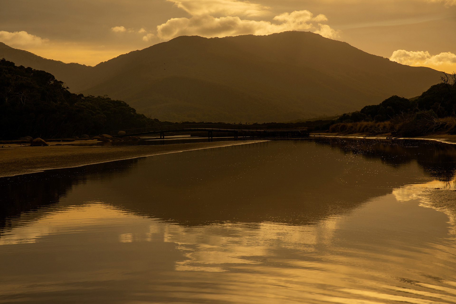 Umenco Golden Hour November, 2023 by  Lilli Waters