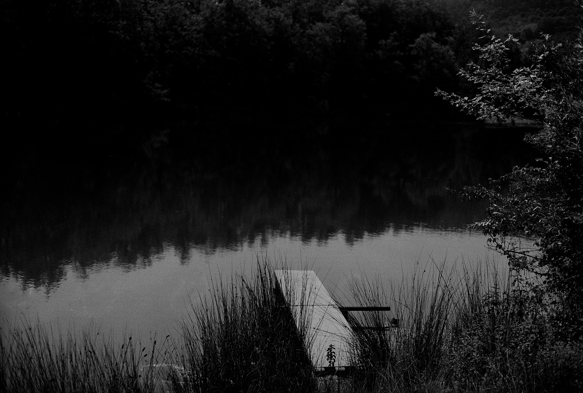 Travel series Iceland, Florence, Italy, Alaska Ongoing by  Lilli Waters