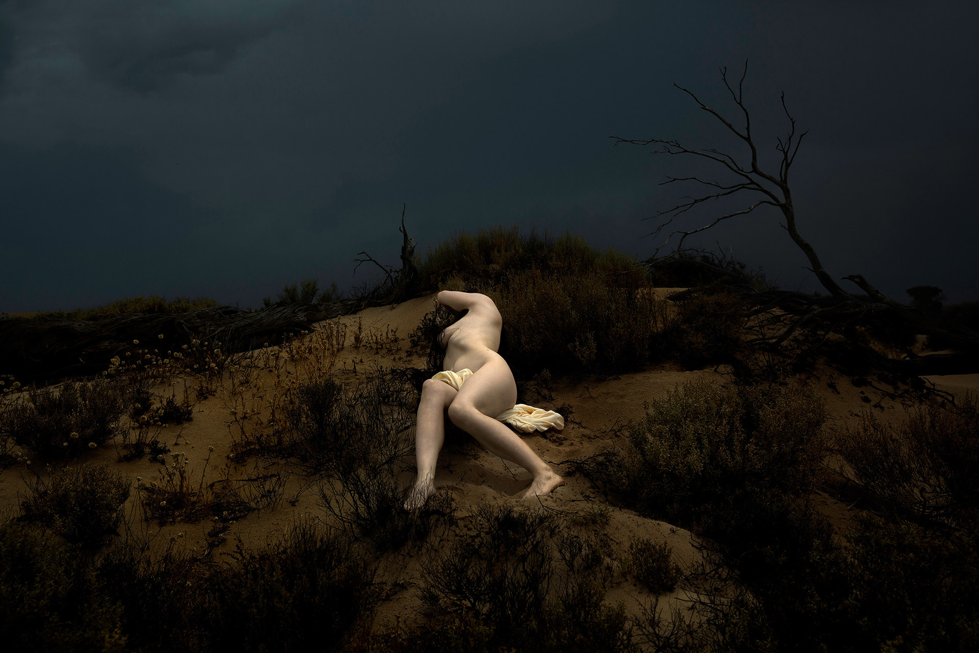 Anthropocene: The Age Of Humans Exhibition work June. 2020 by  Lilli Waters