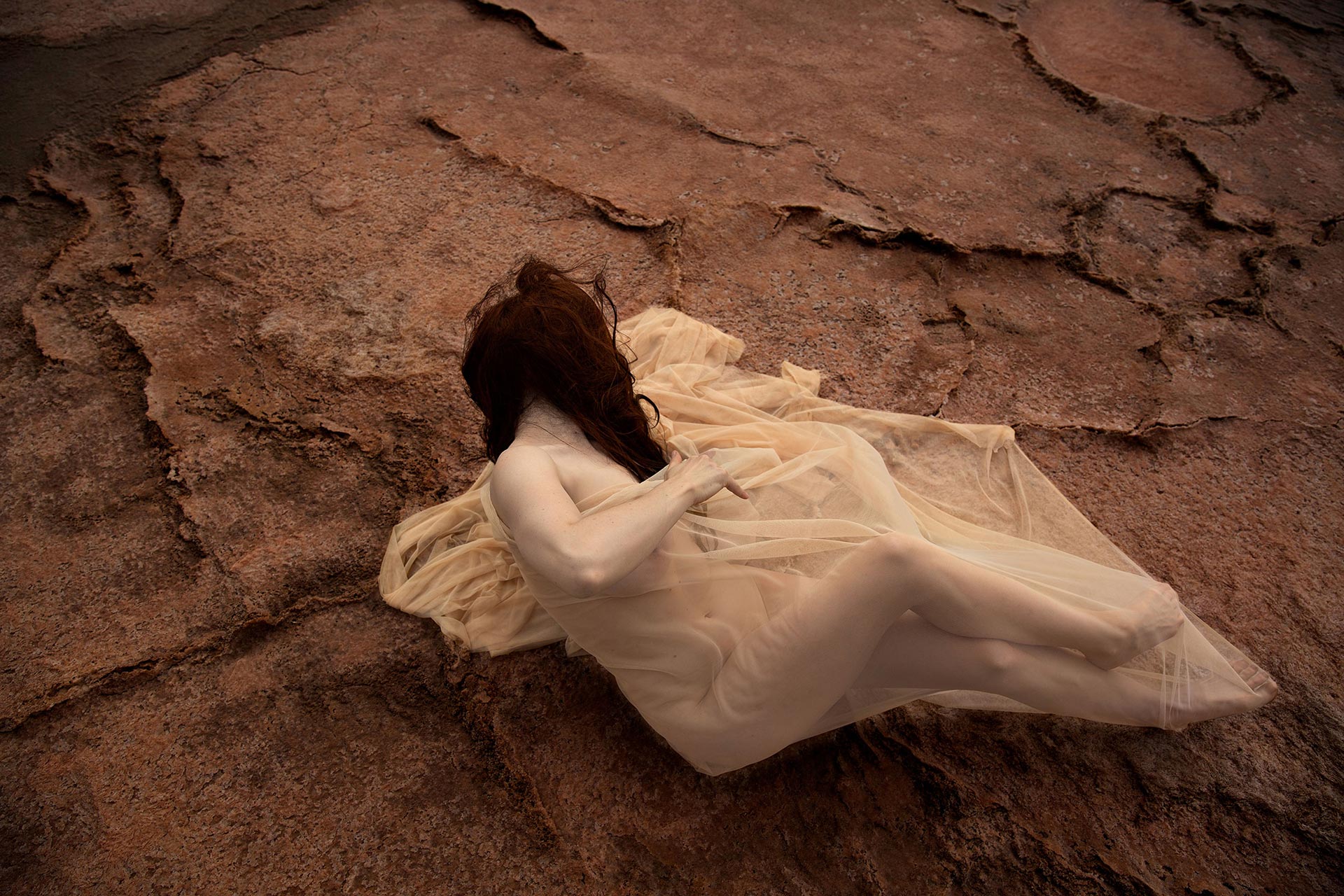 Anthropocene: The Age Of Humans Exhibition work June. 2020 by  Lilli Waters