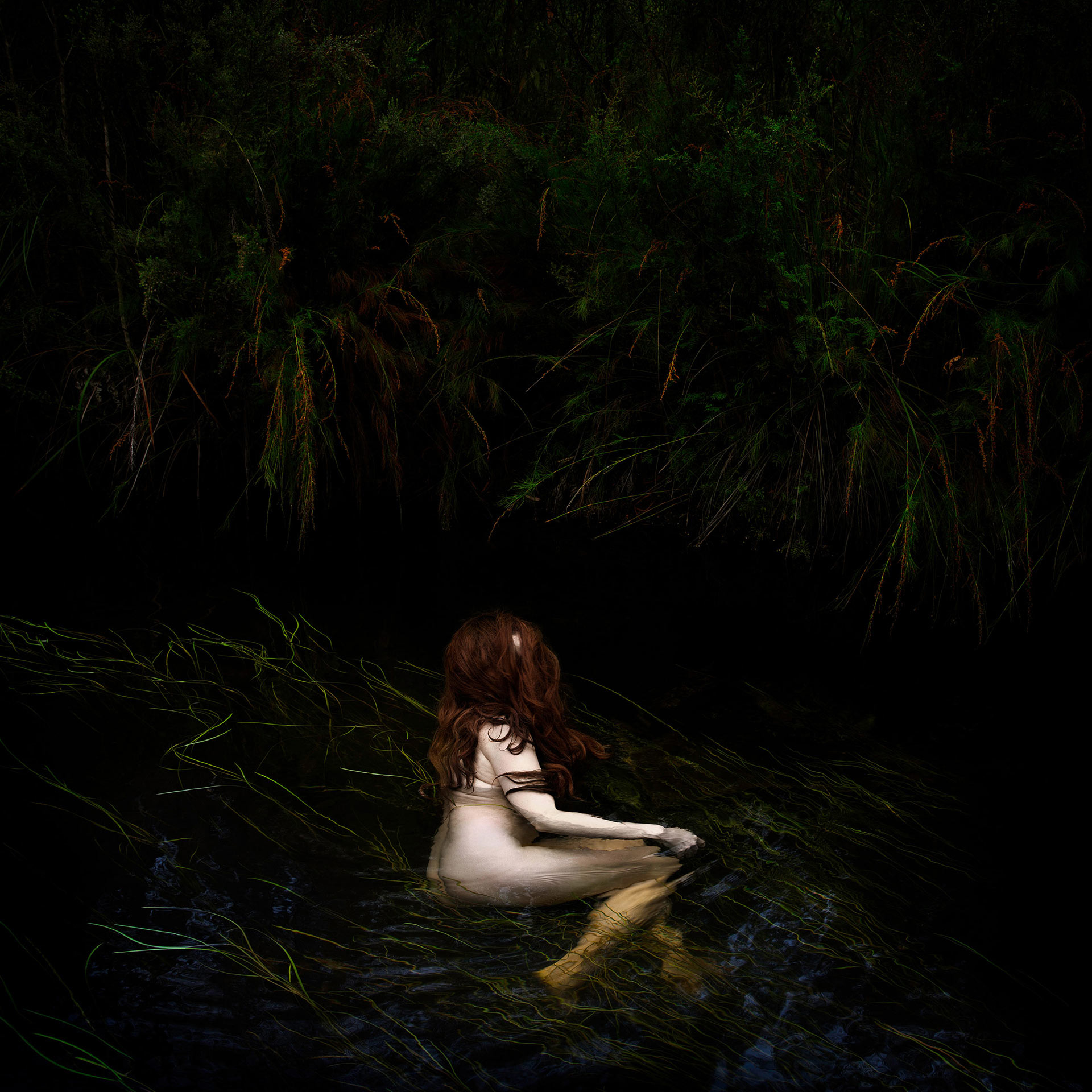 Anthropocene: The Age Of Humans Exhibition work June. 2020 by  Lilli Waters