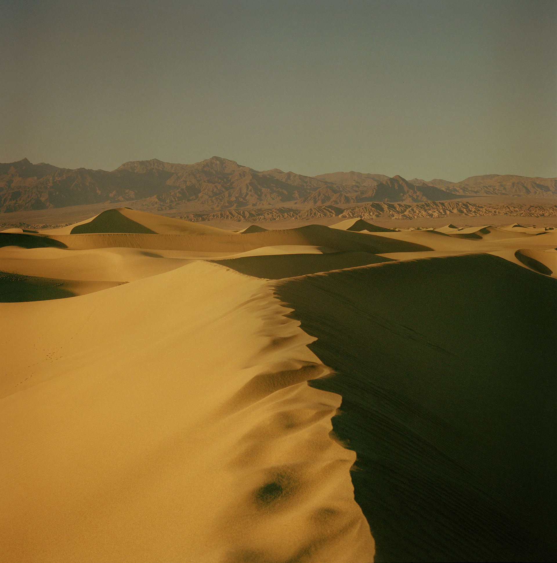 Death Valley Below Sea Level April, 2019 by  Lilli Waters