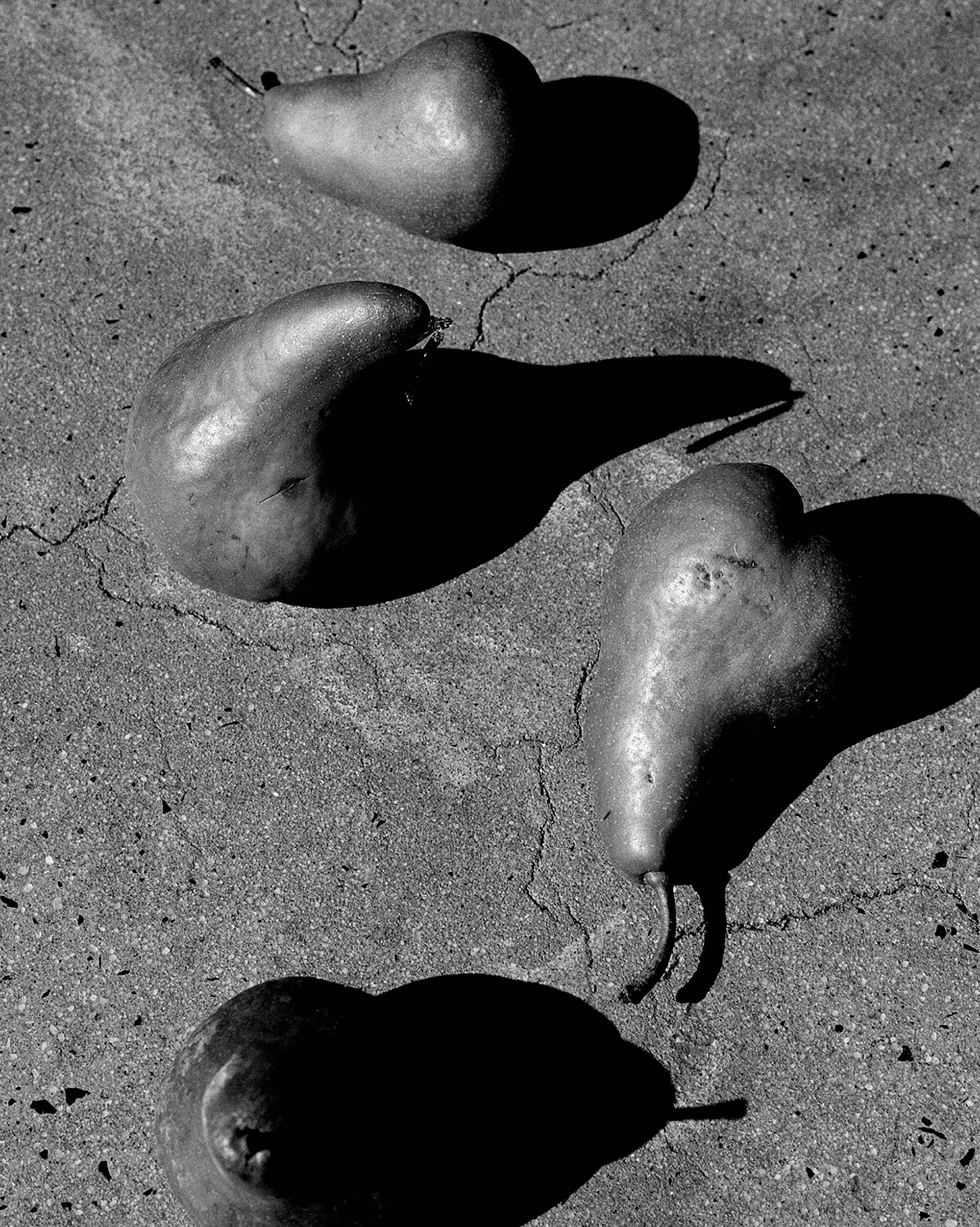 Catalogis Matris Personal work October, 2022 by  Lilli Waters