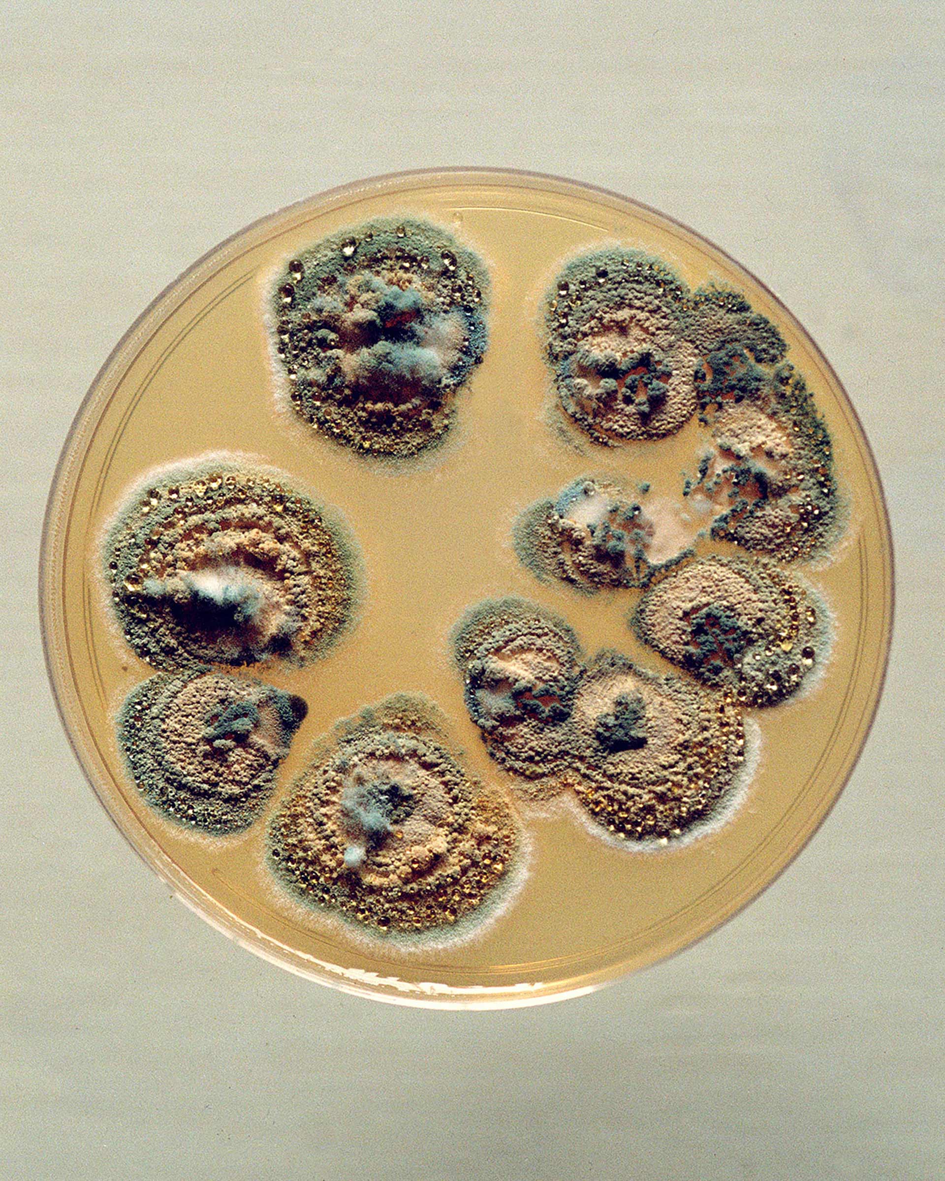 Catalogis Matris Personal work October, 2022 by  Lilli Waters