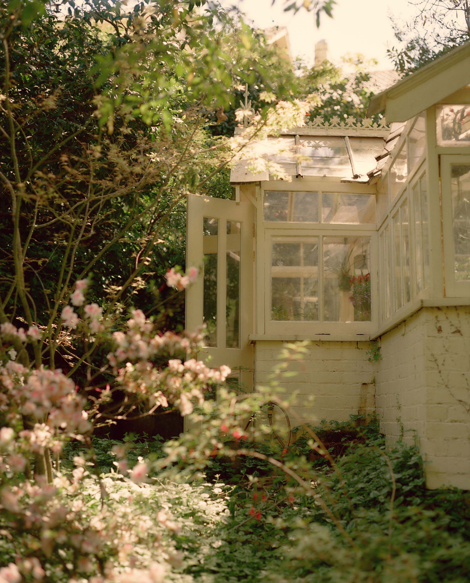 Flowers & Gardens Personal work Ongoing by  Lilli Waters