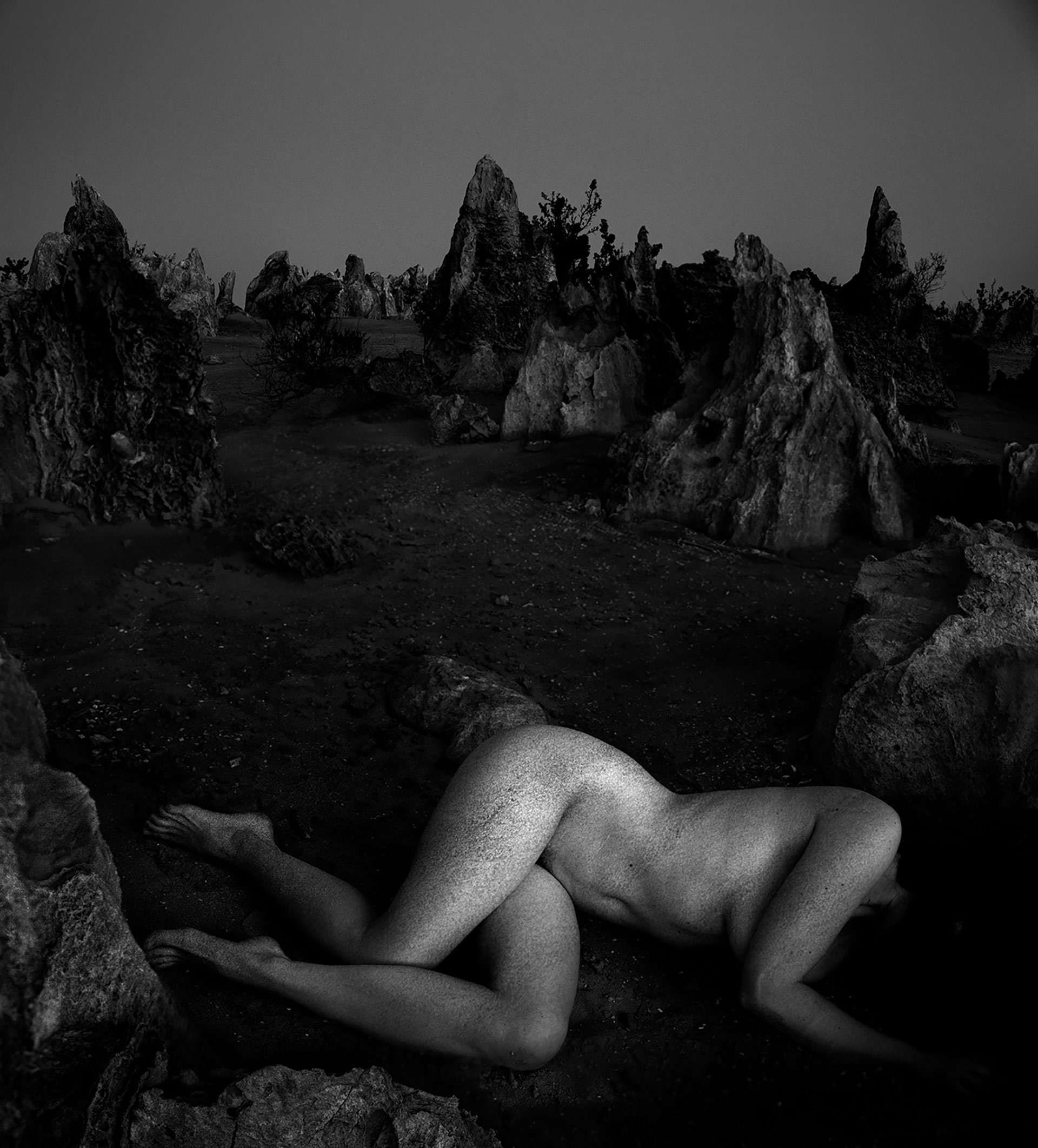 Others Dream Exhibition Work November, 2019 by  Lilli Waters